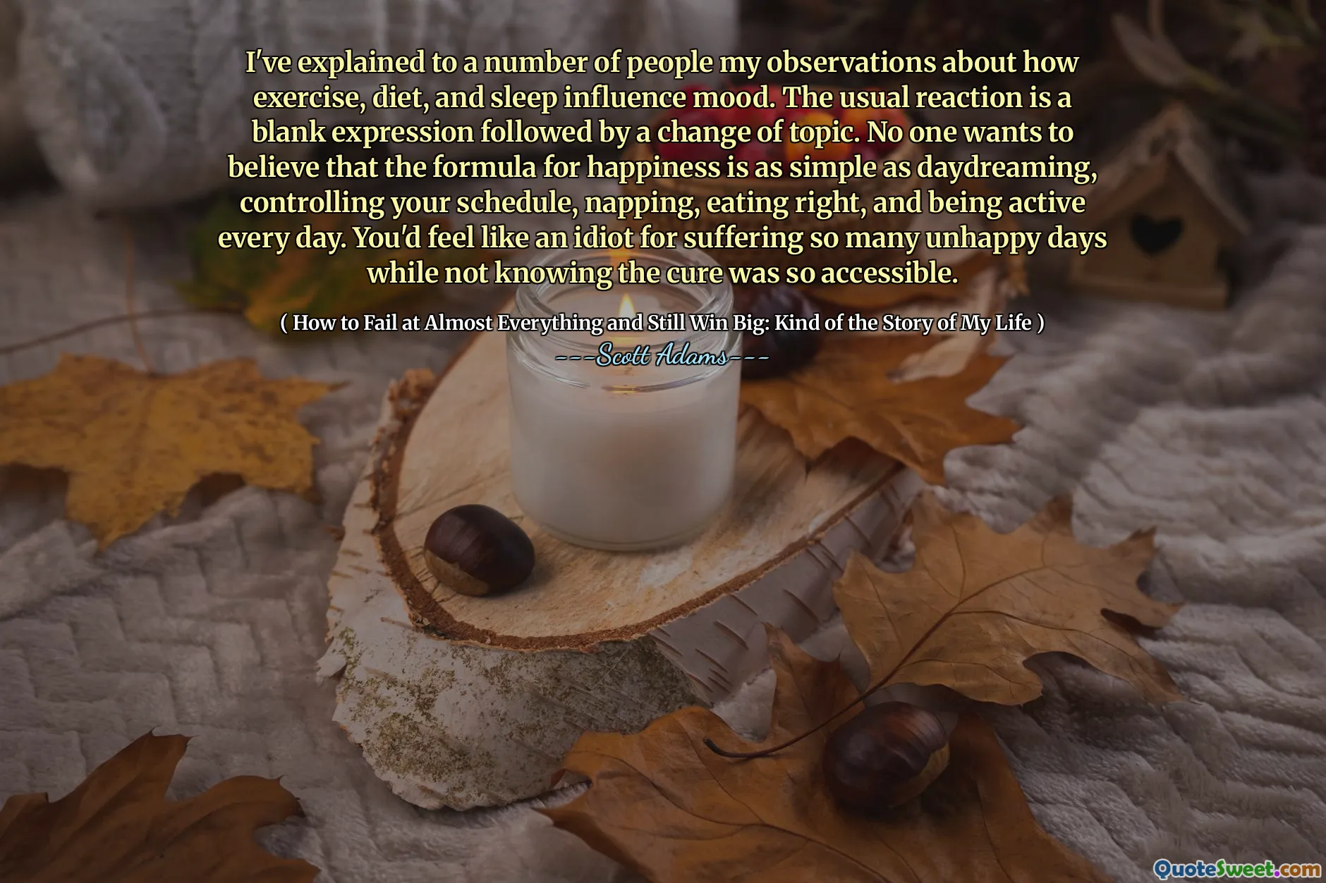 I've explained to a number of people my observations about how exercise, diet, and sleep influence mood. The usual reaction is a blank expression followed by a change of topic. No one wants to believe that the formula for happiness is as simple as daydreaming, controlling your schedule, napping, eating right, and being active every day. You'd feel like an idiot for suffering so many unhappy days while not knowing the cure was so accessible.