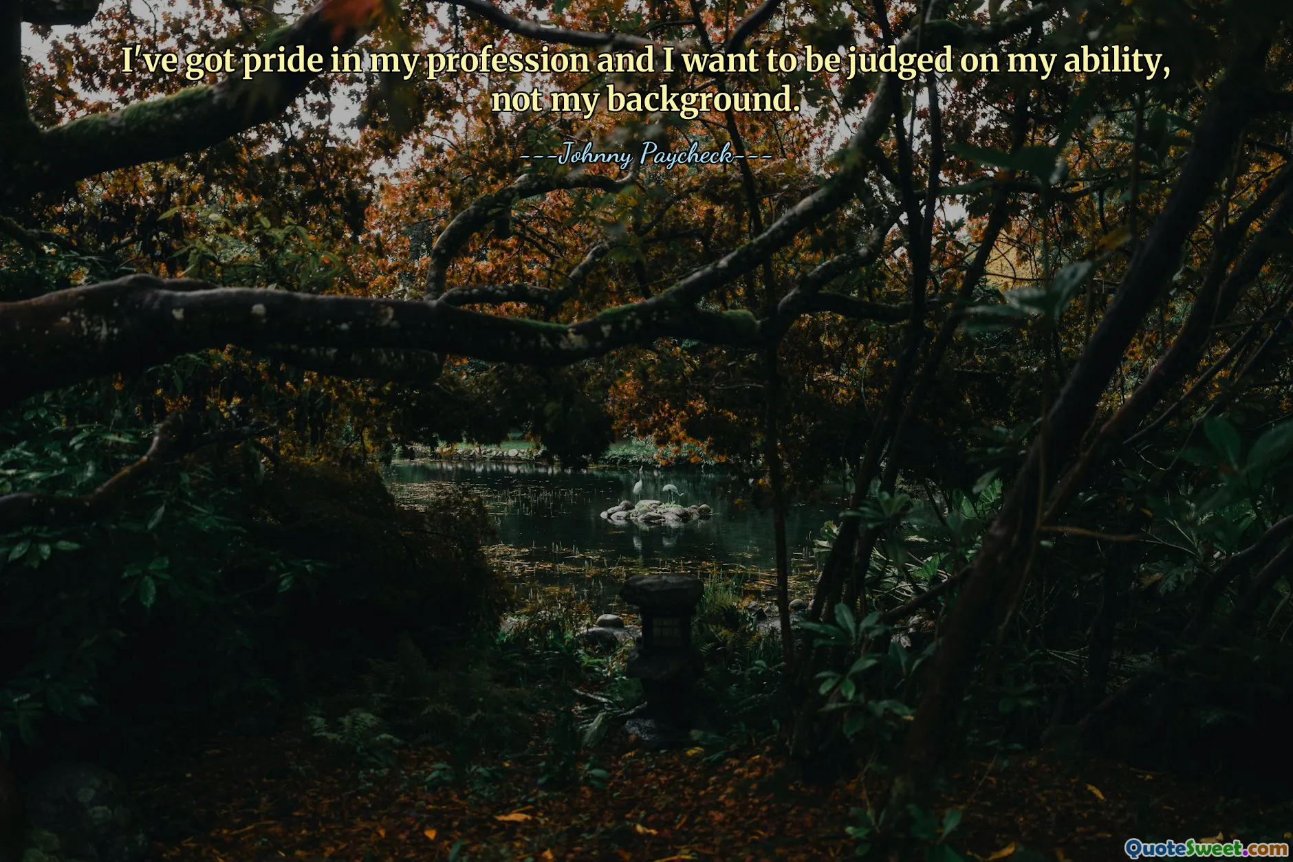 I've got pride in my profession and I want to be judged on my ability, not my background.