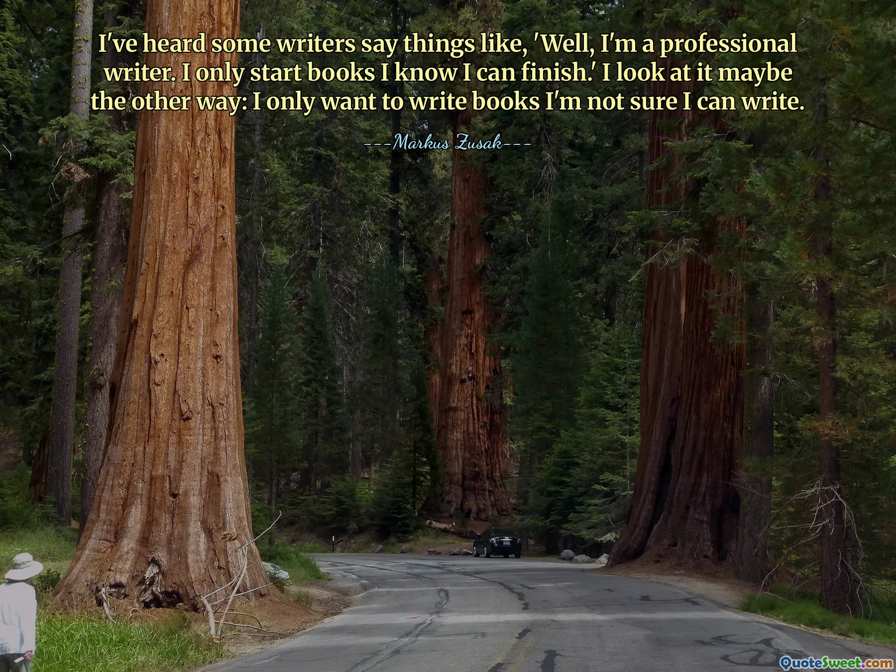 I've heard some writers say things like, 'Well, I'm a professional writer. I only start books I know I can finish.' I look at it maybe the other way: I only want to write books I'm not sure I can write.