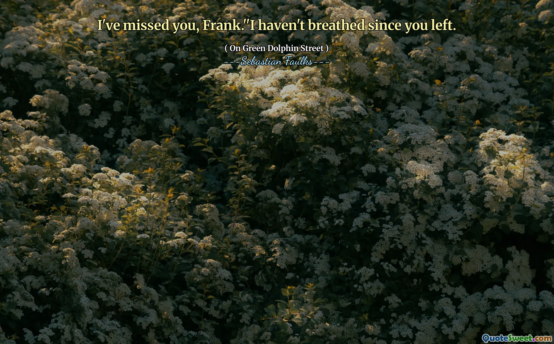 我想念你，弗兰克。”自从你离开以来，我还没有呼吸。