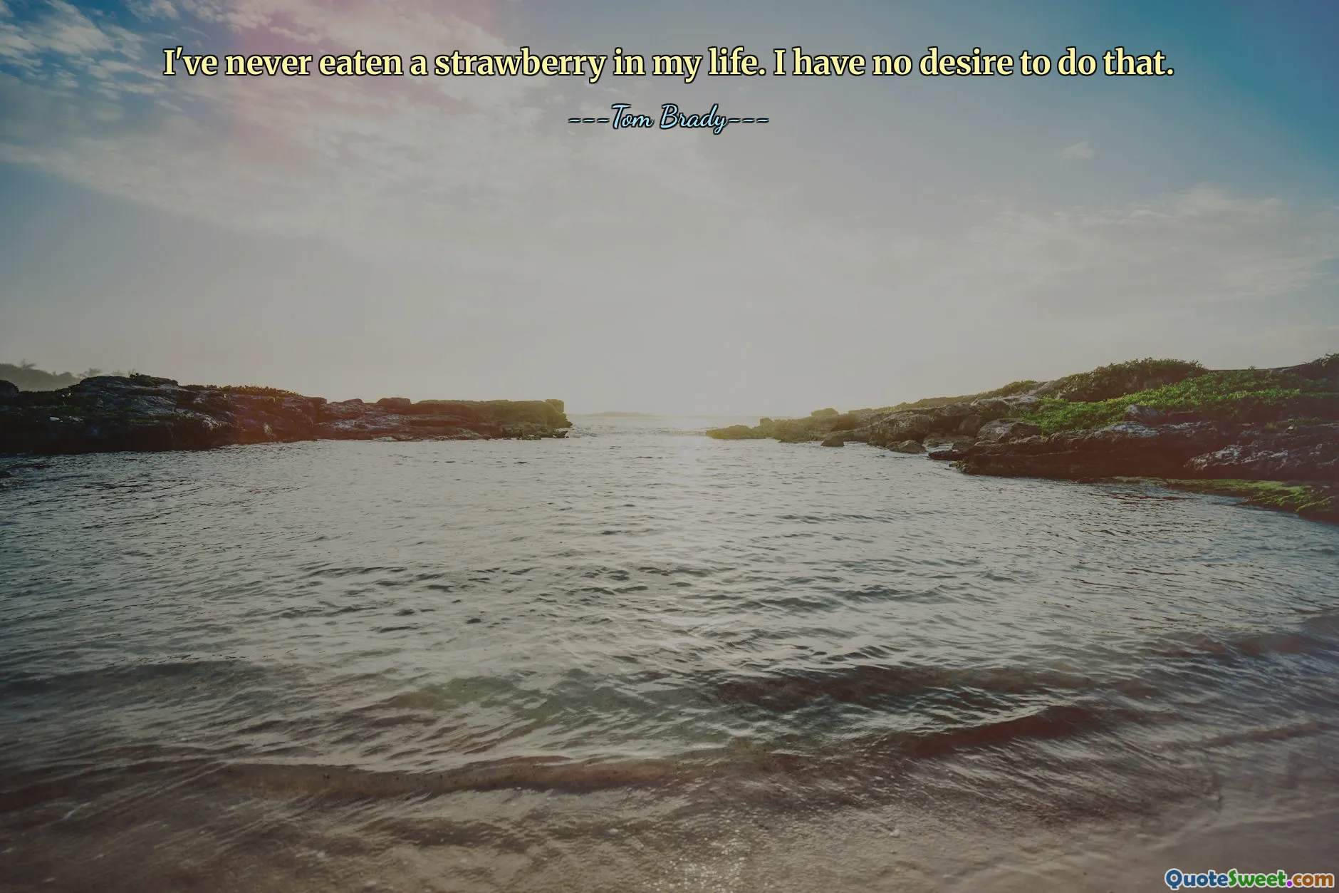 मैंने अपने जीवन में कभी स्ट्रॉबेरी नहीं खाई। मुझे ऐसा करने की कोई इच्छा नहीं है.