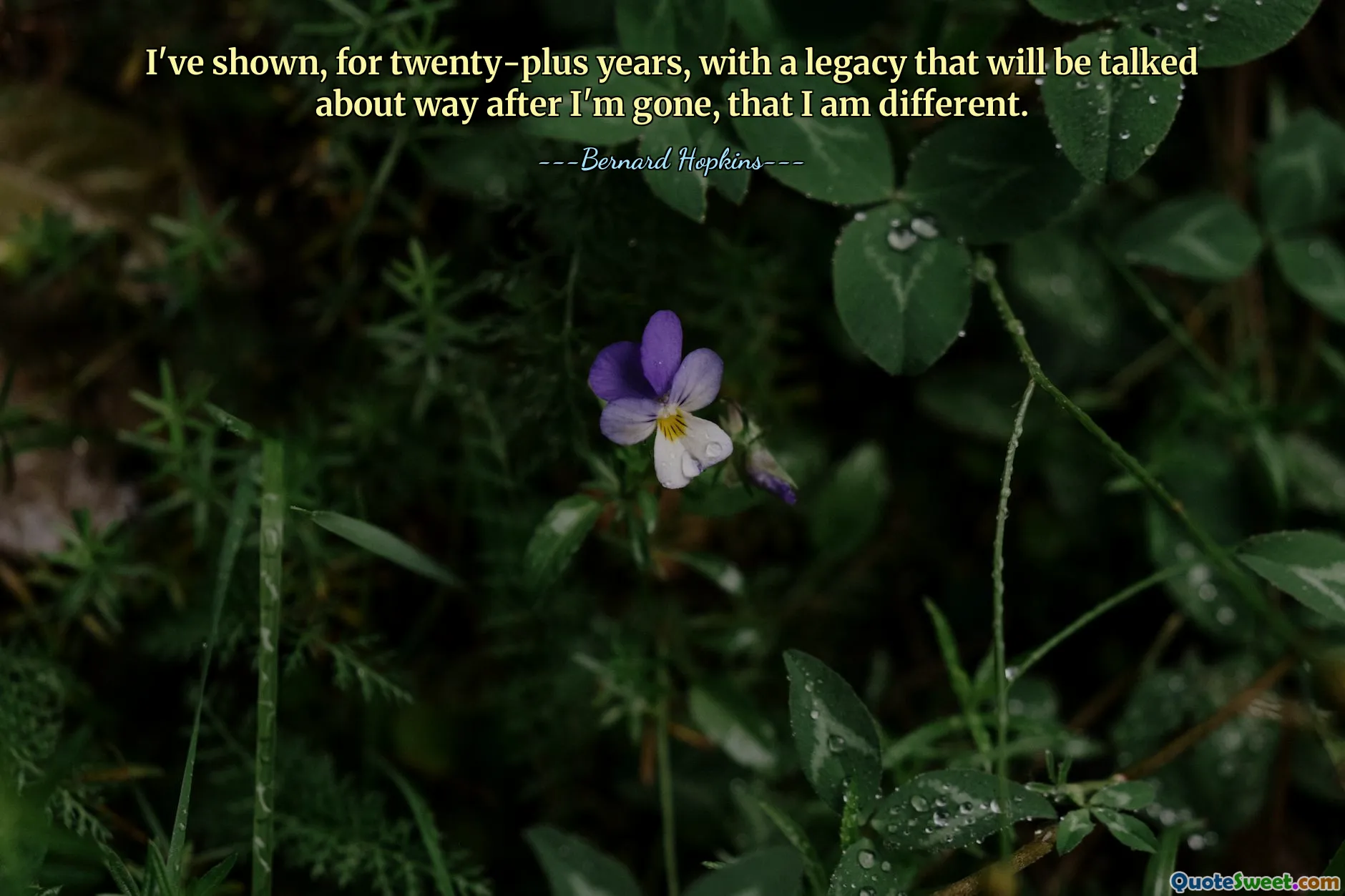 I've shown, for twenty-plus years, with a legacy that will be talked about way after I'm gone, that I am different.