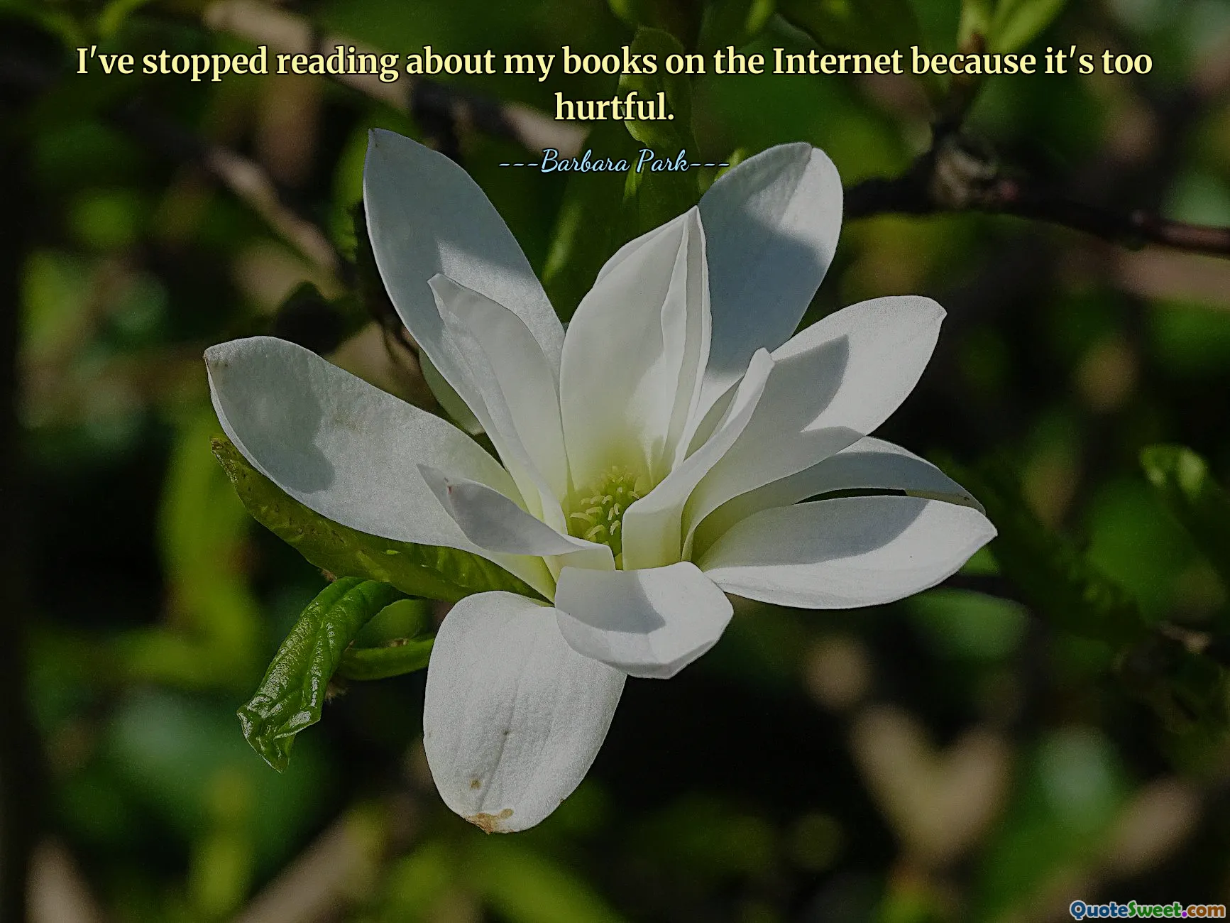 I've stopped reading about my books on the Internet because it's too hurtful.