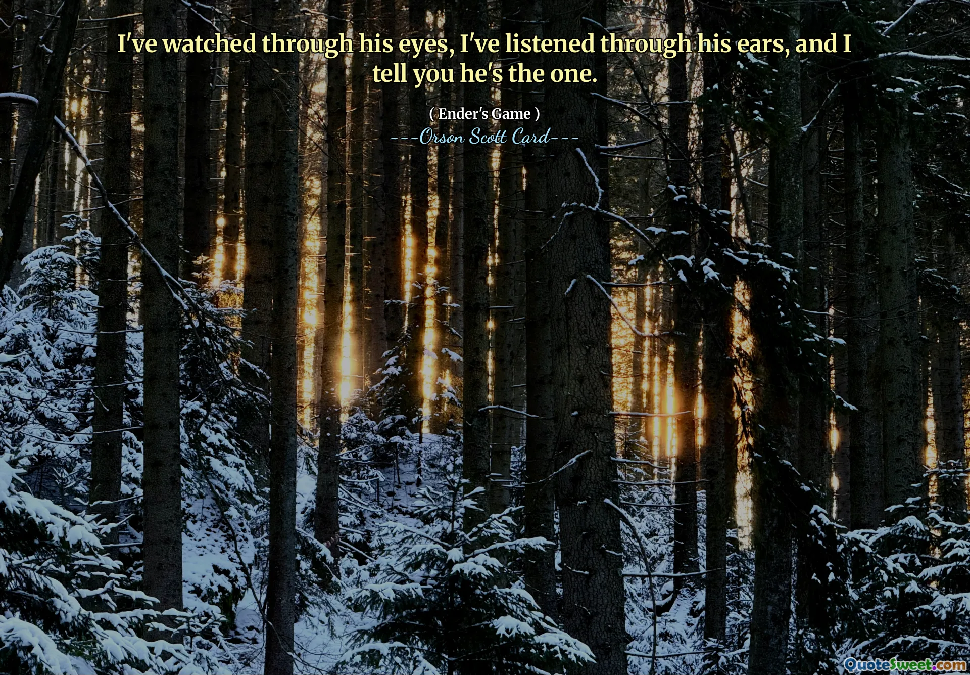 Am urmărit prin ochii lui, i -am ascultat prin urechi și vă spun că el este cel.