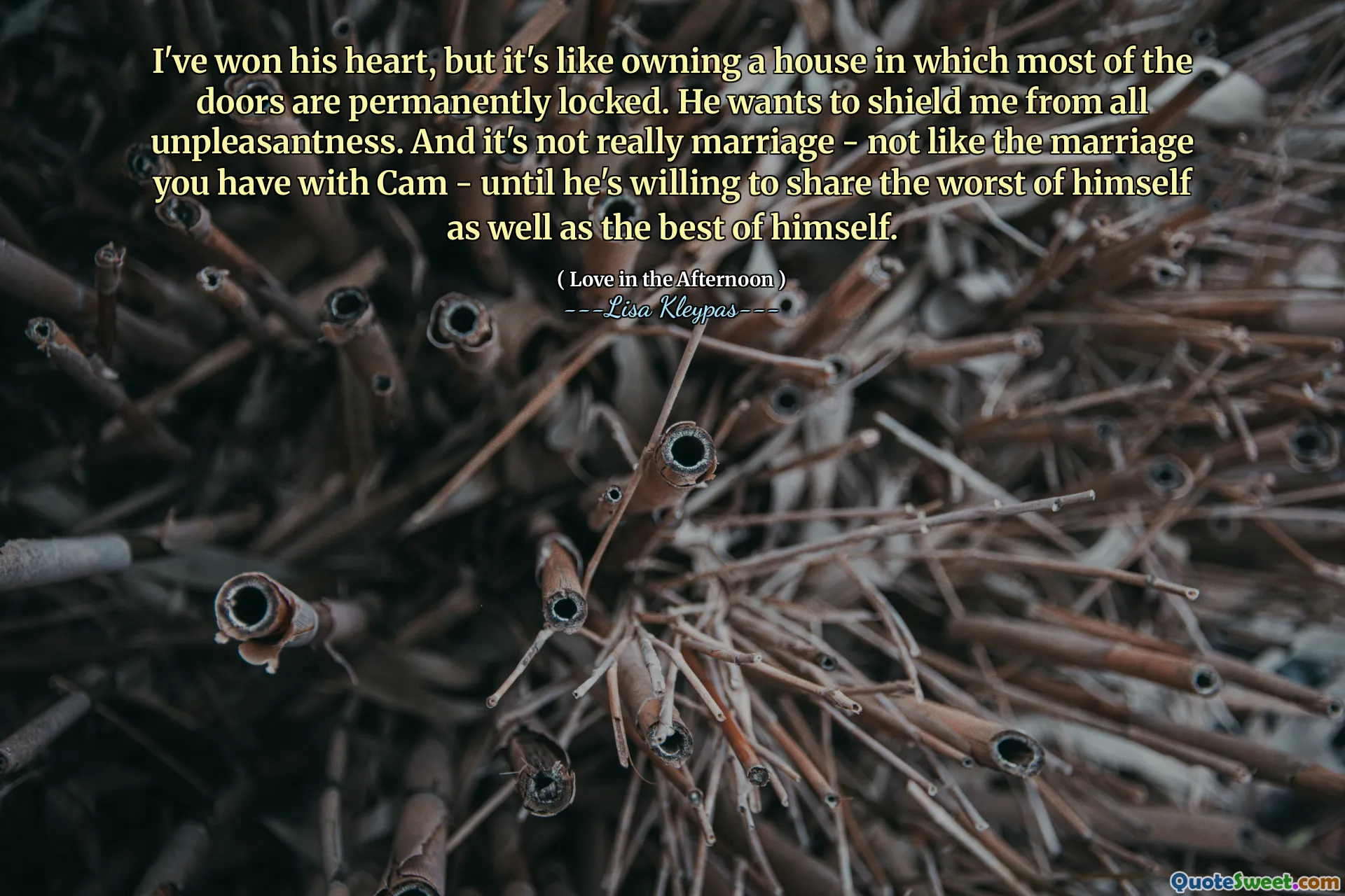 I've won his heart, but it's like owning a house in which most of the doors are permanently locked. He wants to shield me from all unpleasantness. And it's not really marriage - not like the marriage you have with Cam - until he's willing to share the worst of himself as well as the best of himself.
