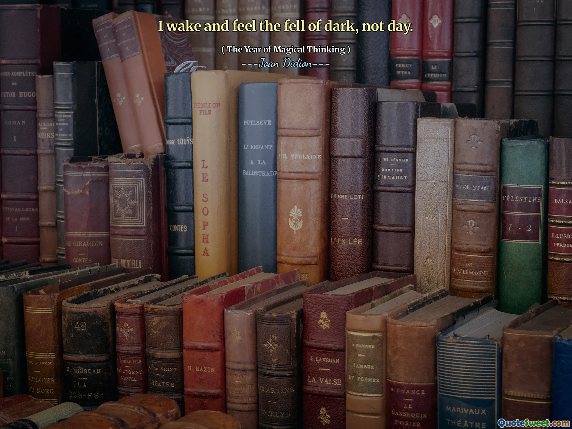 I wake and feel the fell of dark, not day.