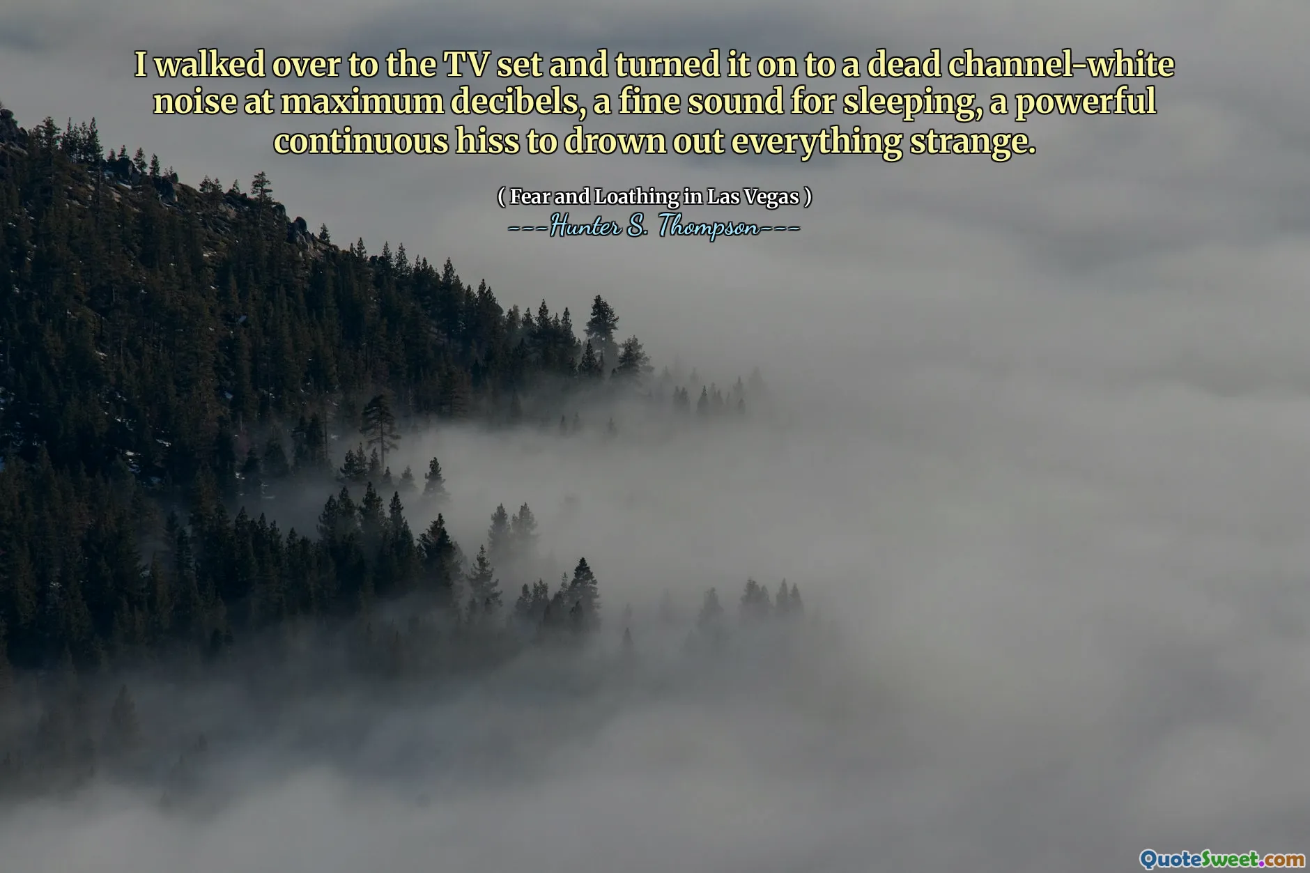 我走到电视机上，将其打开到最大的分贝的死频道 - 白色的噪音，一个很好的睡眠声音，一个强大的连续嘶嘶声淹没了一切奇怪的东西。