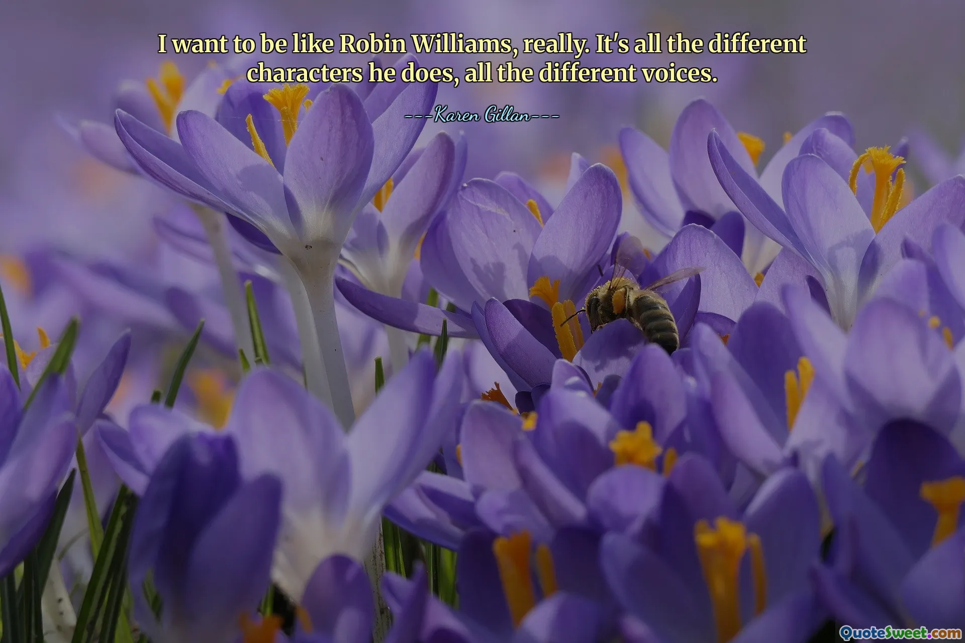 मैं वास्तव में रॉबिन विलियम्स जैसा बनना चाहता हूं। यह उसके सभी अलग-अलग किरदार हैं, सभी अलग-अलग आवाज़ें हैं।