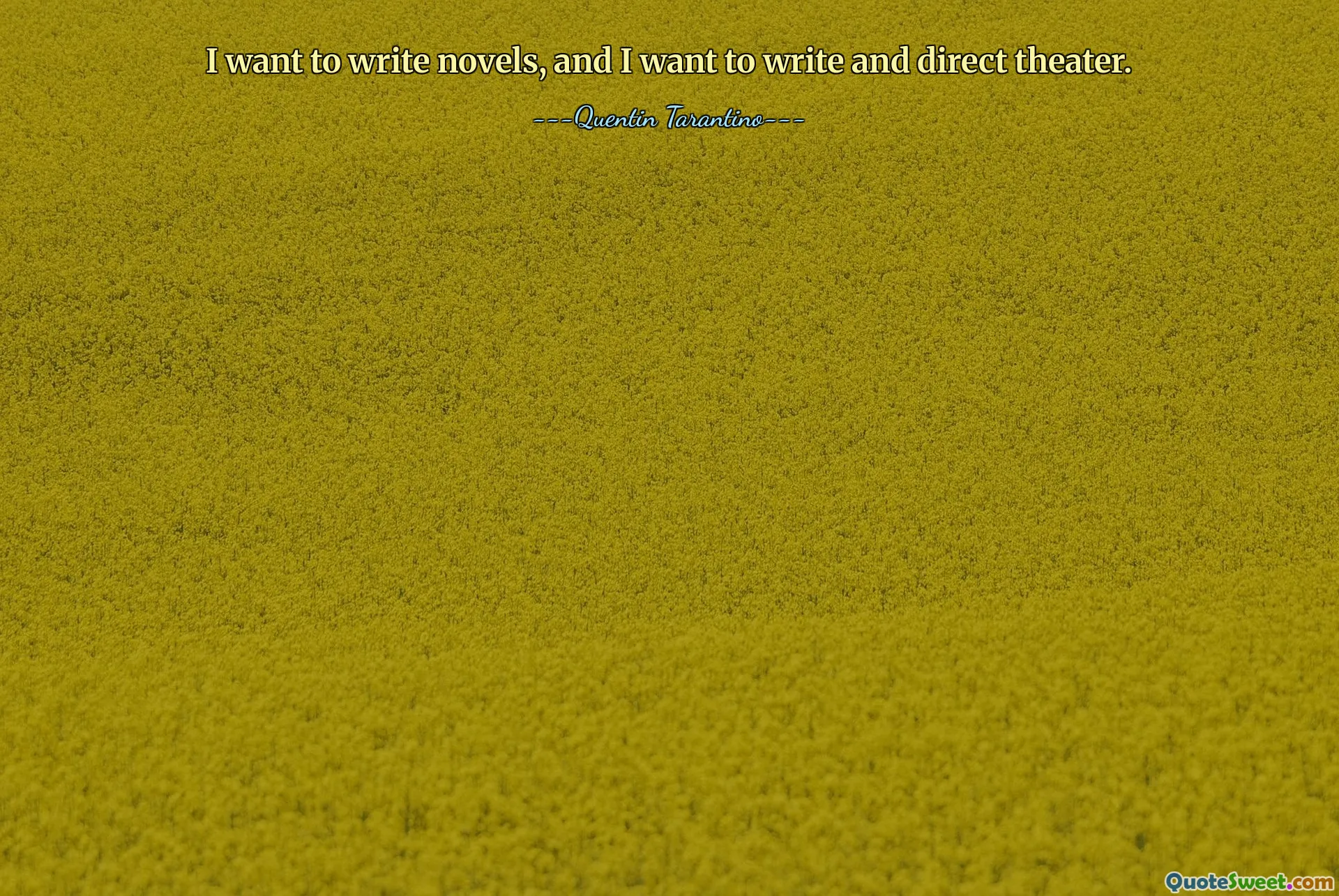 I want to write novels, and I want to write and direct theater.