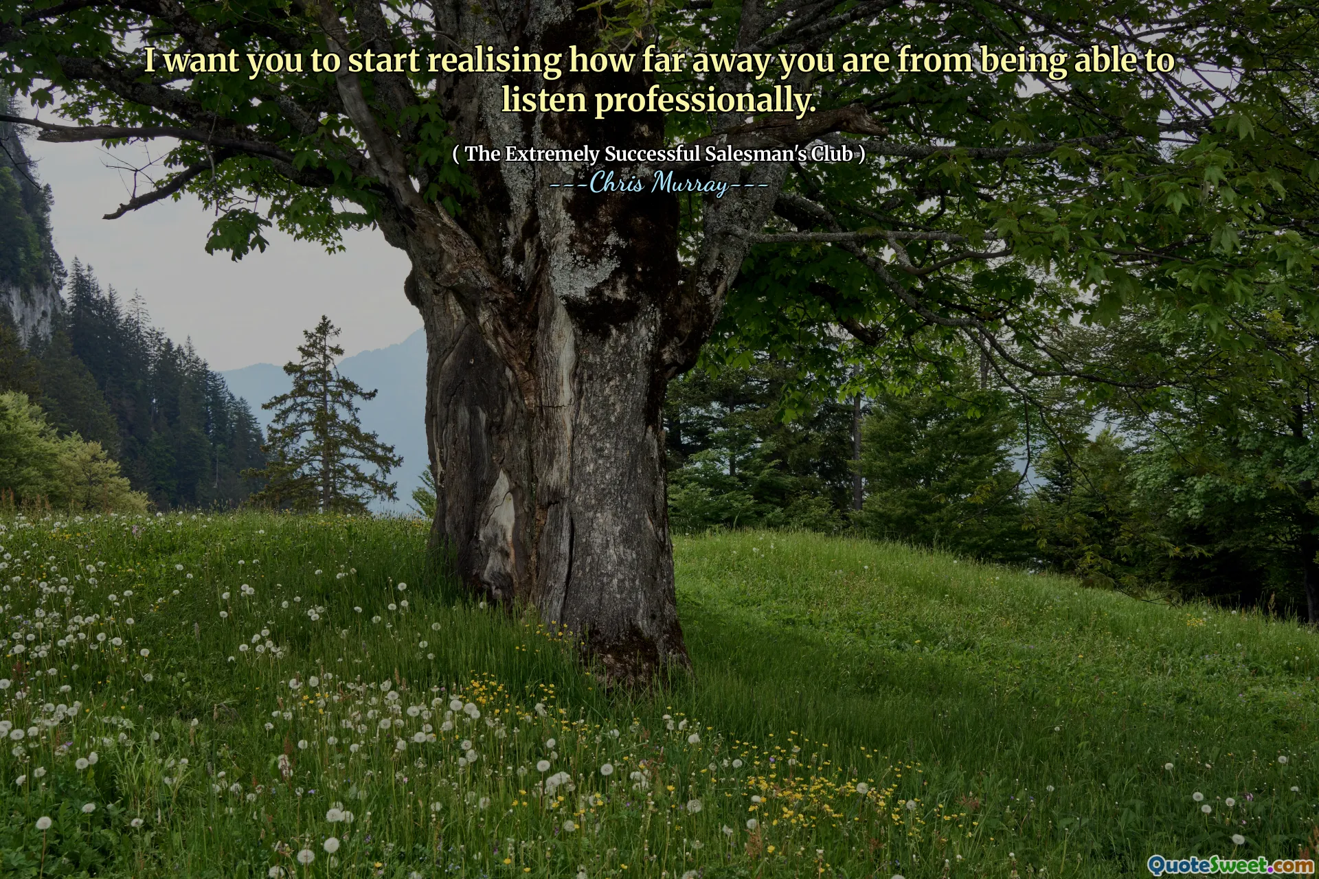 I want you to start realising how far away you are from being able to listen professionally.