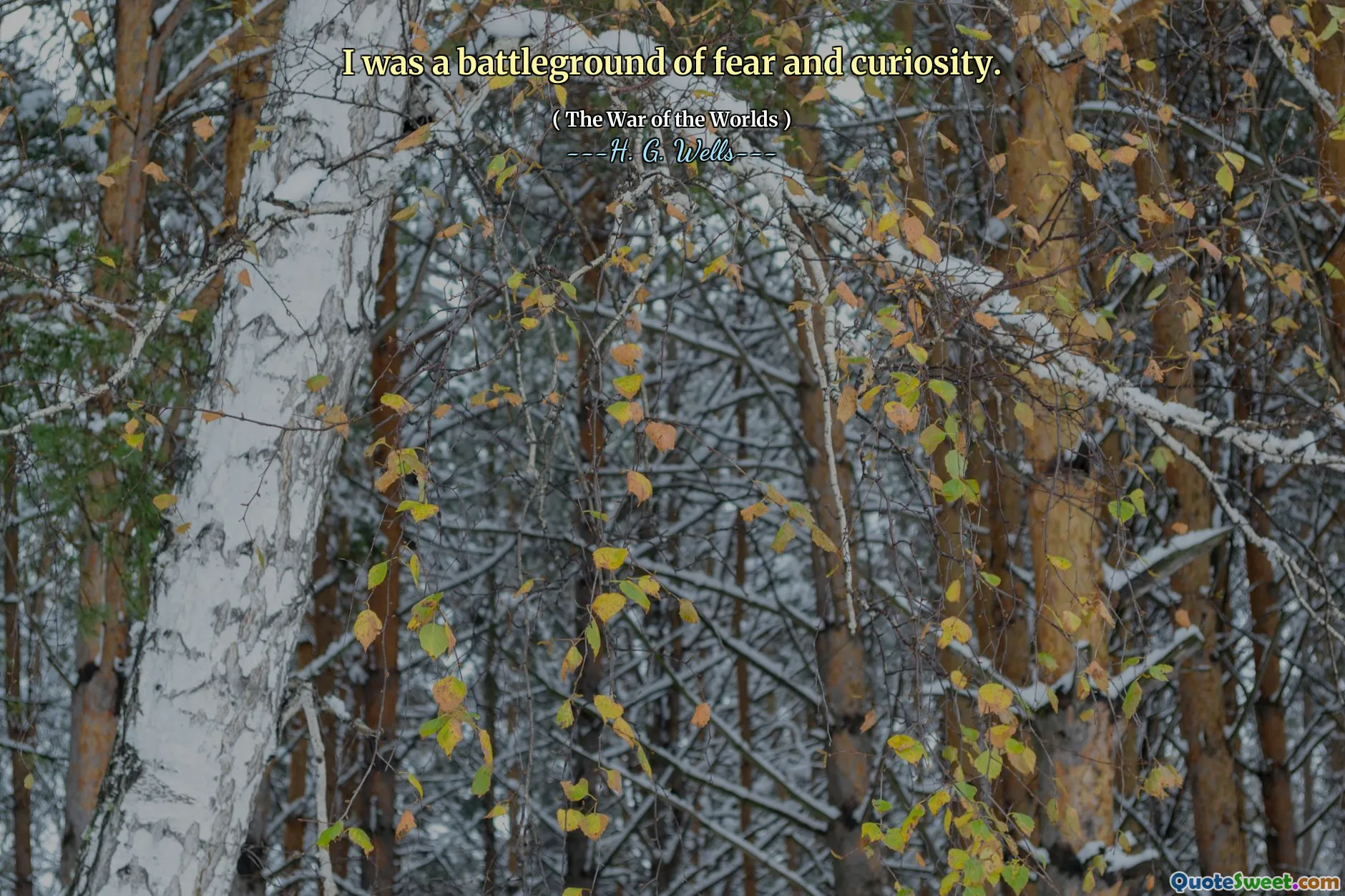 I was a battleground of fear and curiosity.