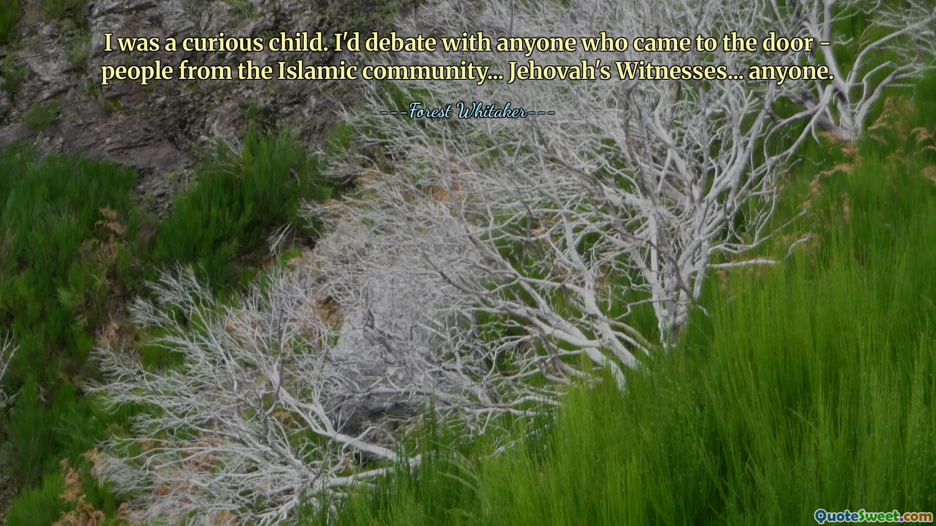 Meraklı bir çocuktum. Kapıya gelen herkesle tartışırdım; İslam toplumundan kişiler... Yehova'nın Şahitleri... herkes.