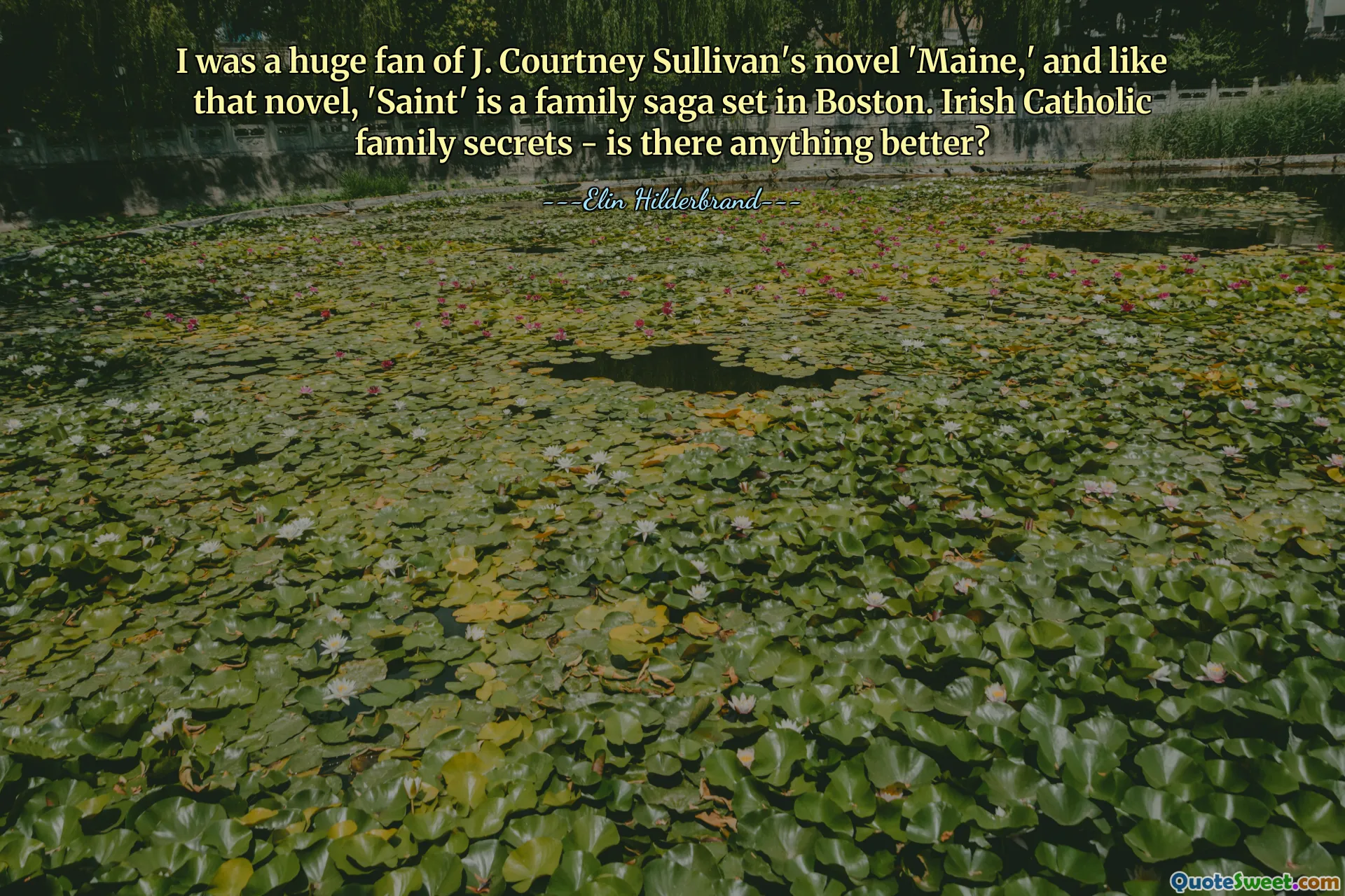 Eu era um grande fã do romance 'Maine' de J. Courtney Sullivan e, como esse romance, 'Saint' é uma saga familiar ambientada em Boston. Segredos de família católica irlandesa – há algo melhor?