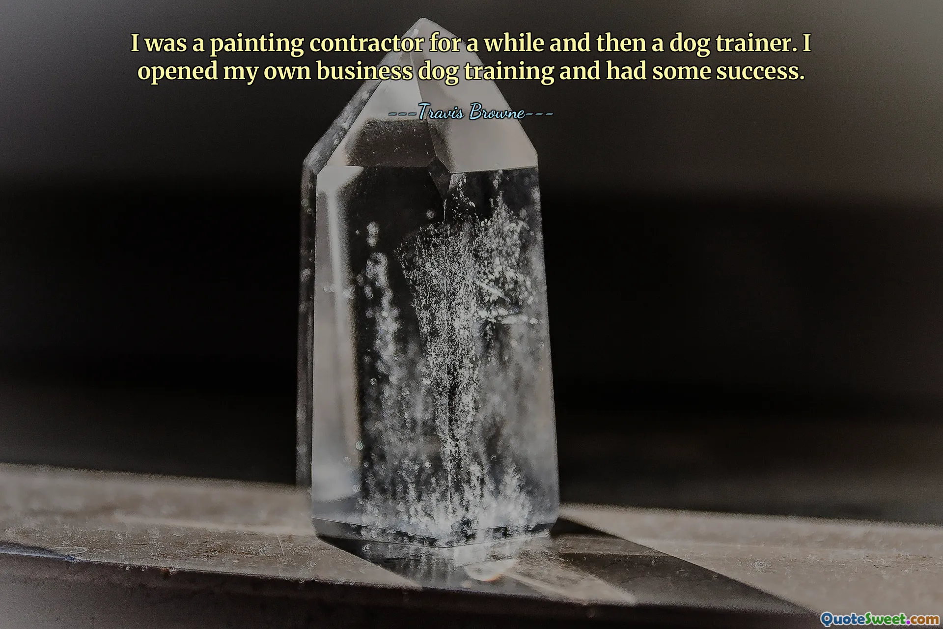 I was a painting contractor for a while and then a dog trainer. I opened my own business dog training and had some success.