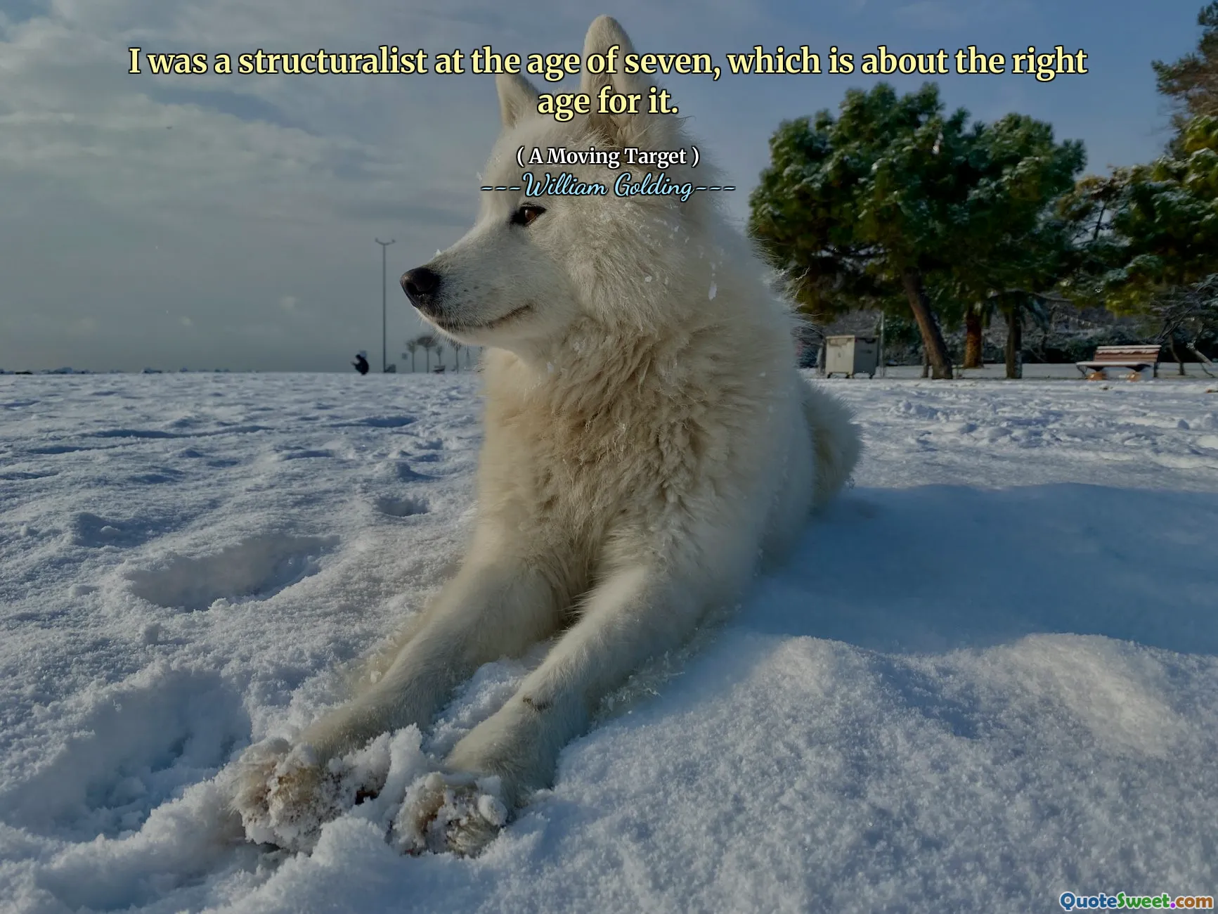 I was a structuralist at the age of seven, which is about the right age for it.