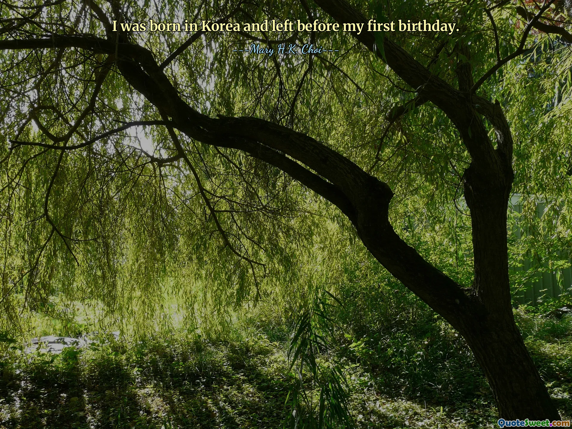 I was born in Korea and left before my first birthday.