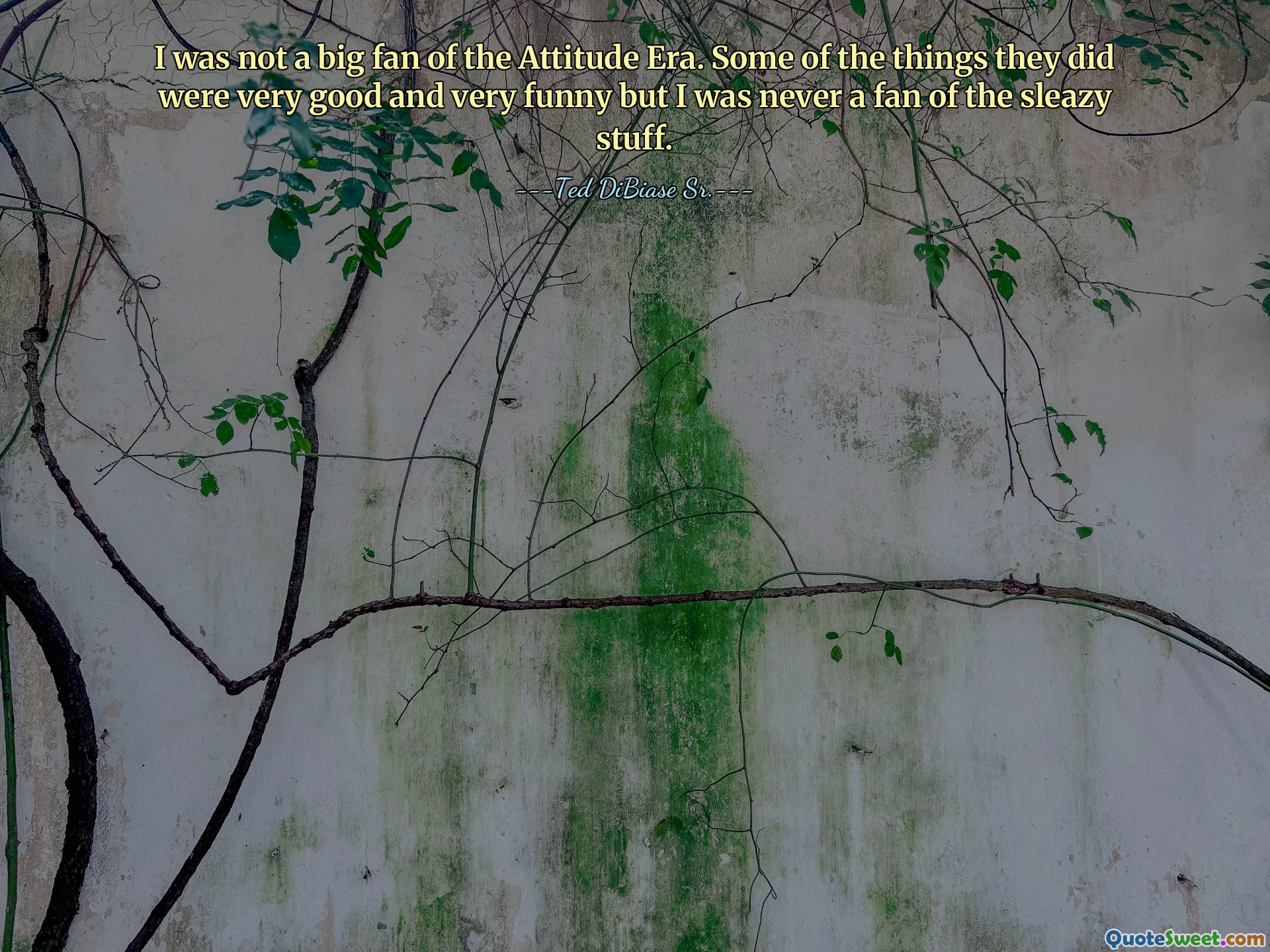 Je n’étais pas un grand fan de l’Attitude Era. Certaines des choses qu'ils ont faites étaient très bonnes et très drôles, mais je n'ai jamais été fan des trucs sordides.