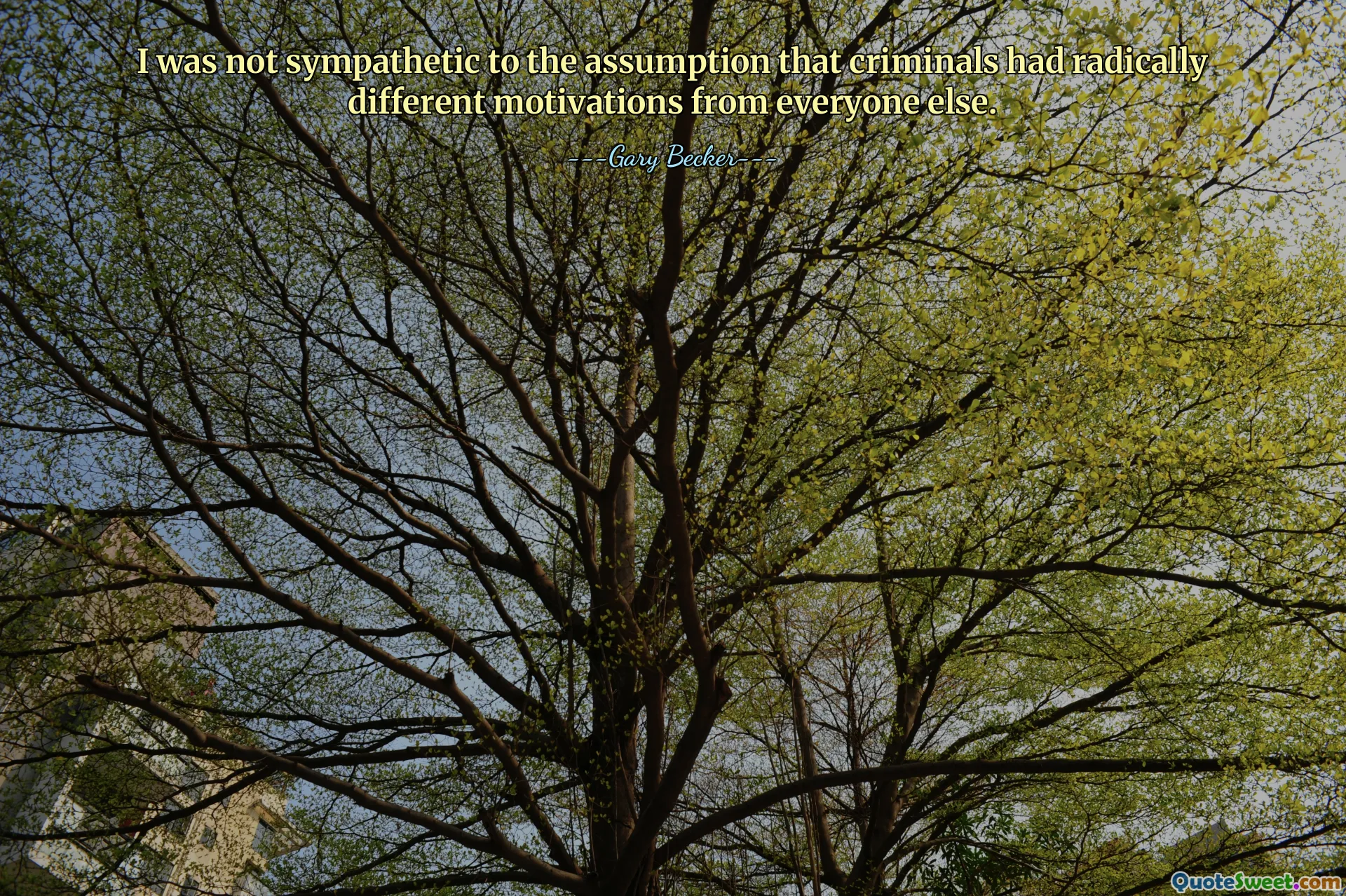 Ich hatte kein Verständnis für die Annahme, dass Kriminelle völlig andere Beweggründe hätten als alle anderen.