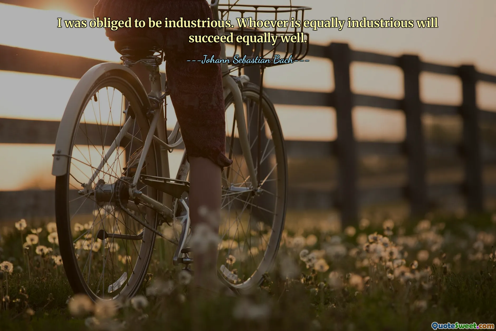 I was obliged to be industrious. Whoever is equally industrious will succeed equally well.