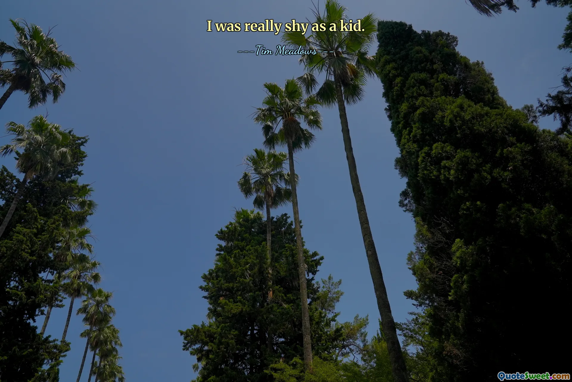 ბავშვობაში მართლა მორცხვი ვიყავი.