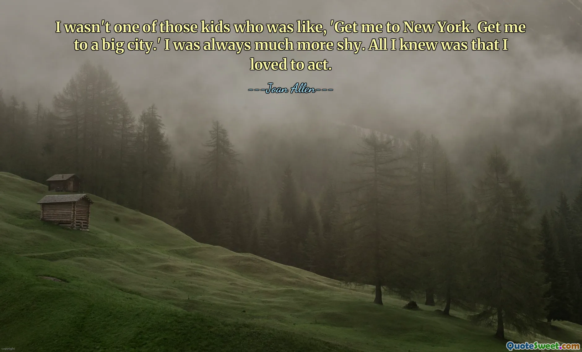 I wasn't one of those kids who was like, 'Get me to New York. Get me to a big city.' I was always much more shy. All I knew was that I loved to act.