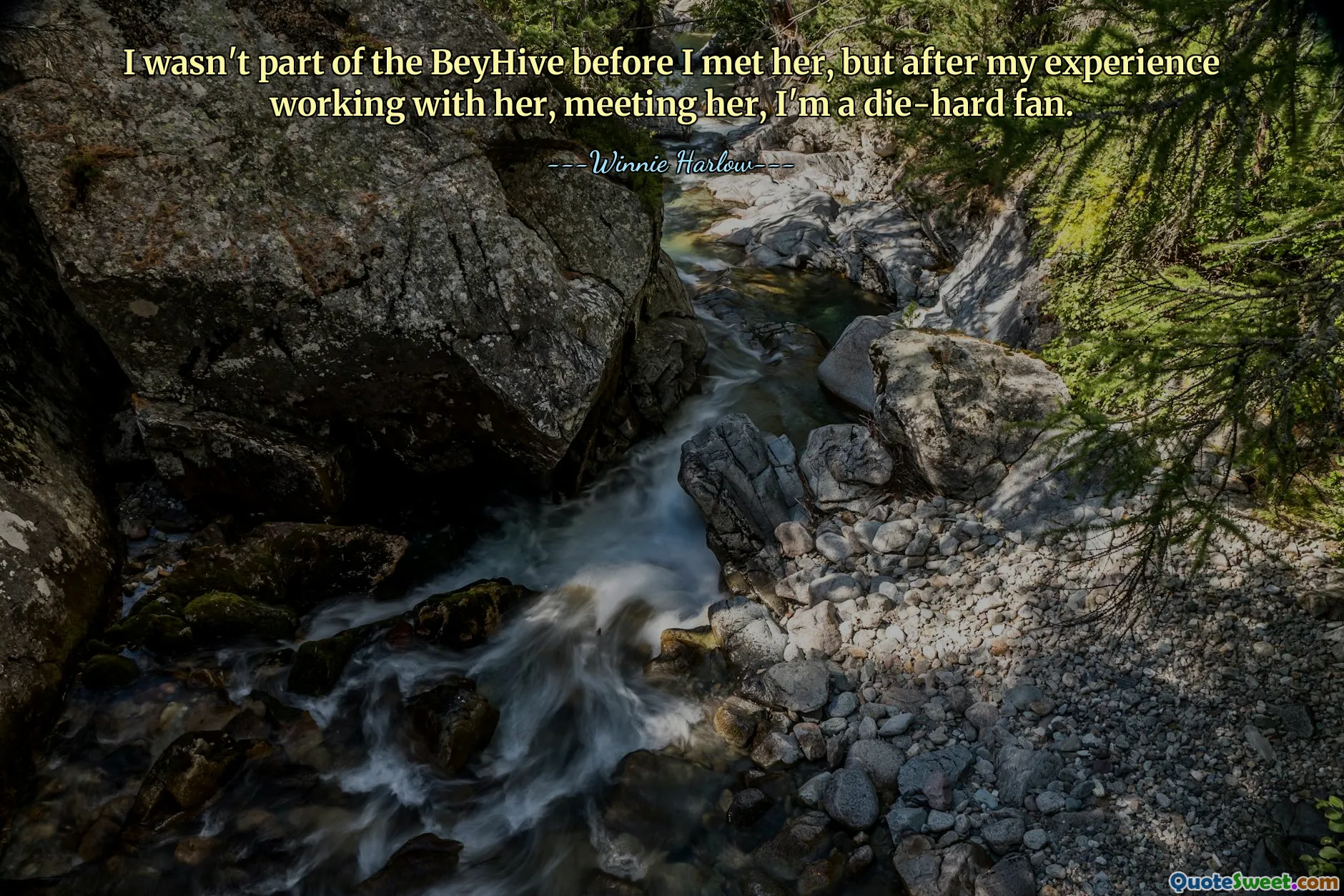 I wasn't part of the BeyHive before I met her, but after my experience working with her, meeting her, I'm a die-hard fan.