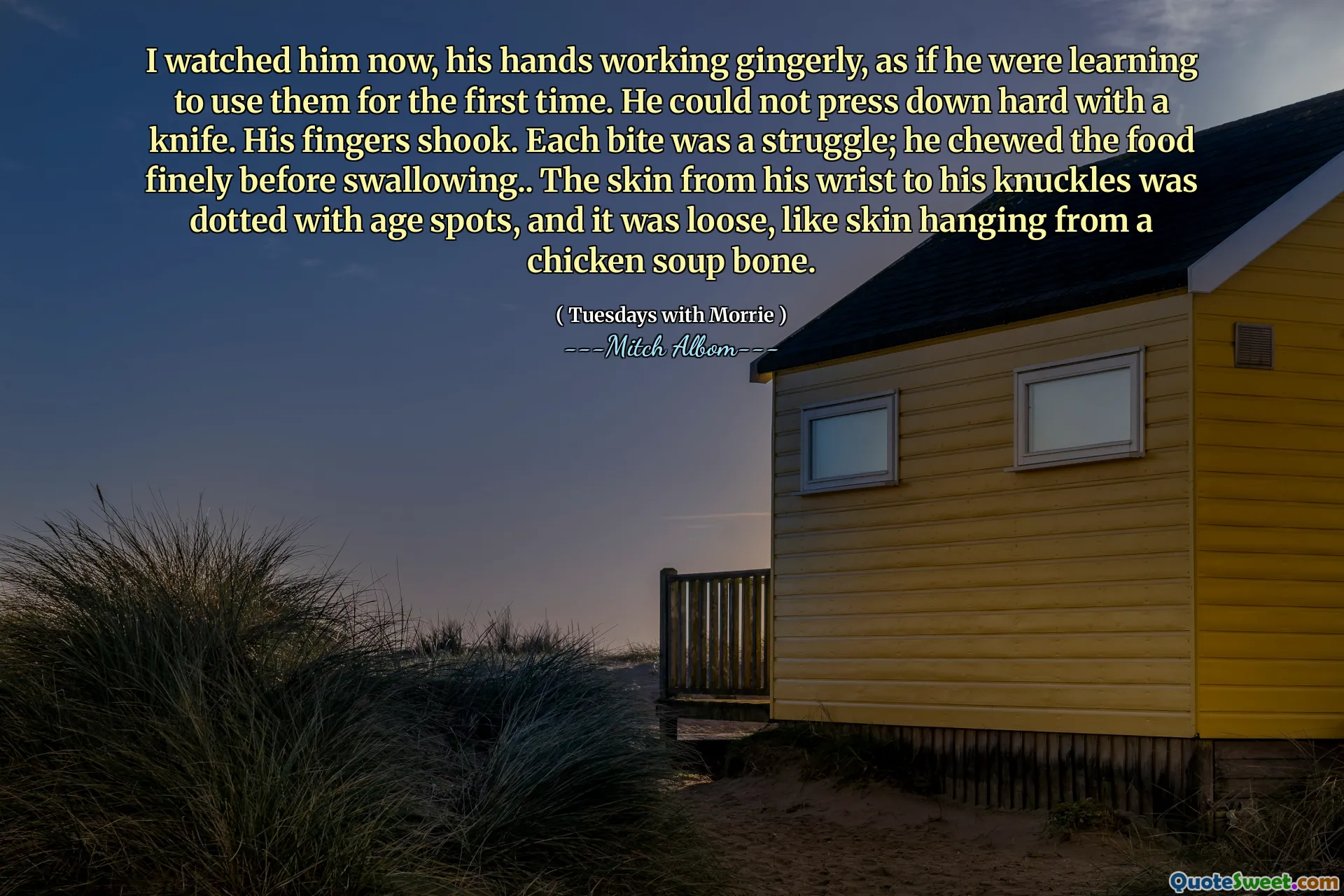 Lo vi ahora, sus manos trabajando con cautela, como si estuviera aprendiendo a usarlas por primera vez. No podía presionar con fuerza con un cuchillo. Sus dedos sacudieron. Cada bocado fue una lucha; Masticó la comida finamente antes de tragar. La piel desde la muñeca hasta los nudillos estaba salpicada de manchas de edad, y estaba suelta, como la piel colgada de un hueso de la sopa de pollo.