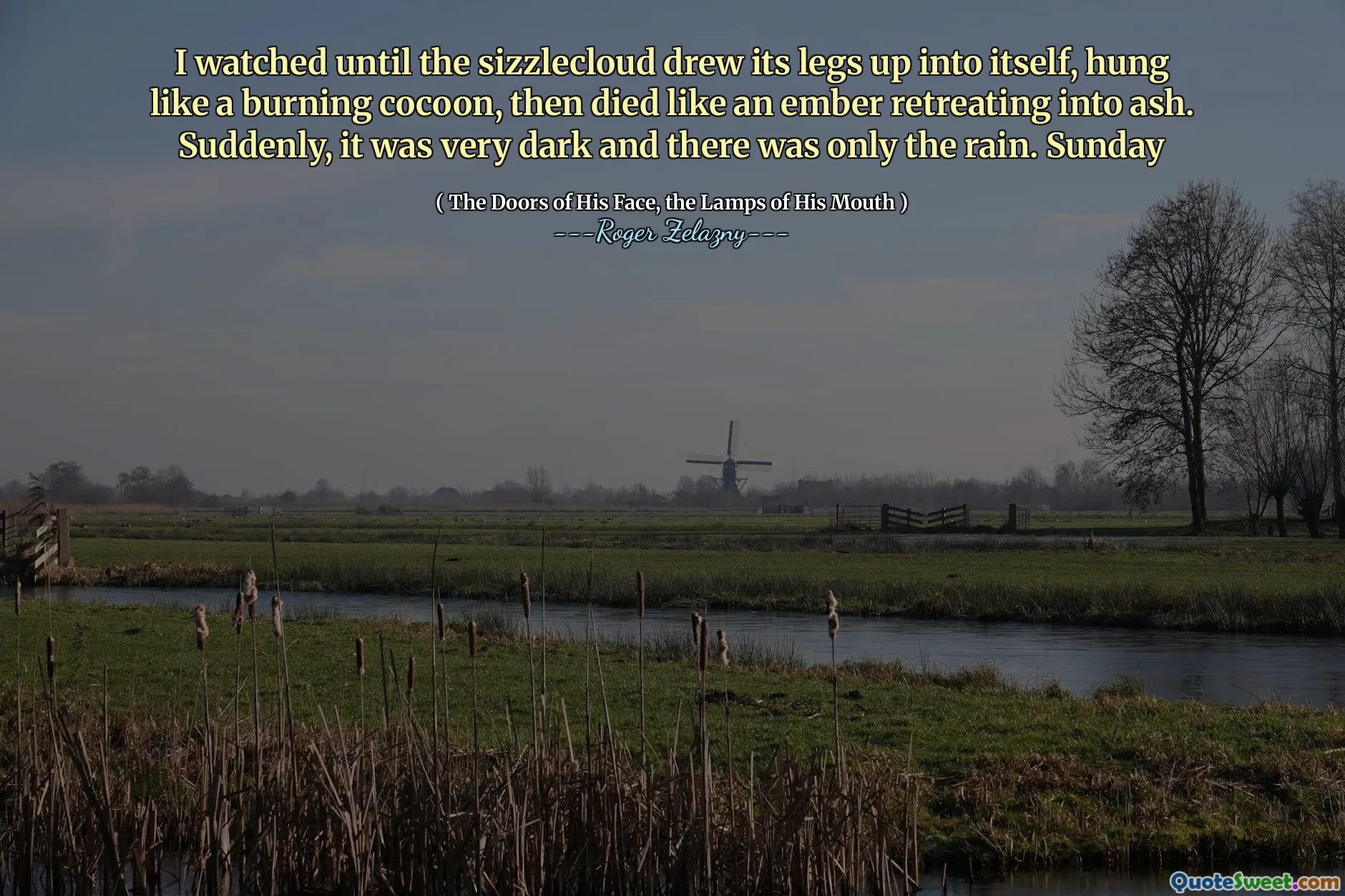 I watched until the sizzlecloud drew its legs up into itself, hung like a burning cocoon, then died like an ember retreating into ash. Suddenly, it was very dark and there was only the rain. Sunday