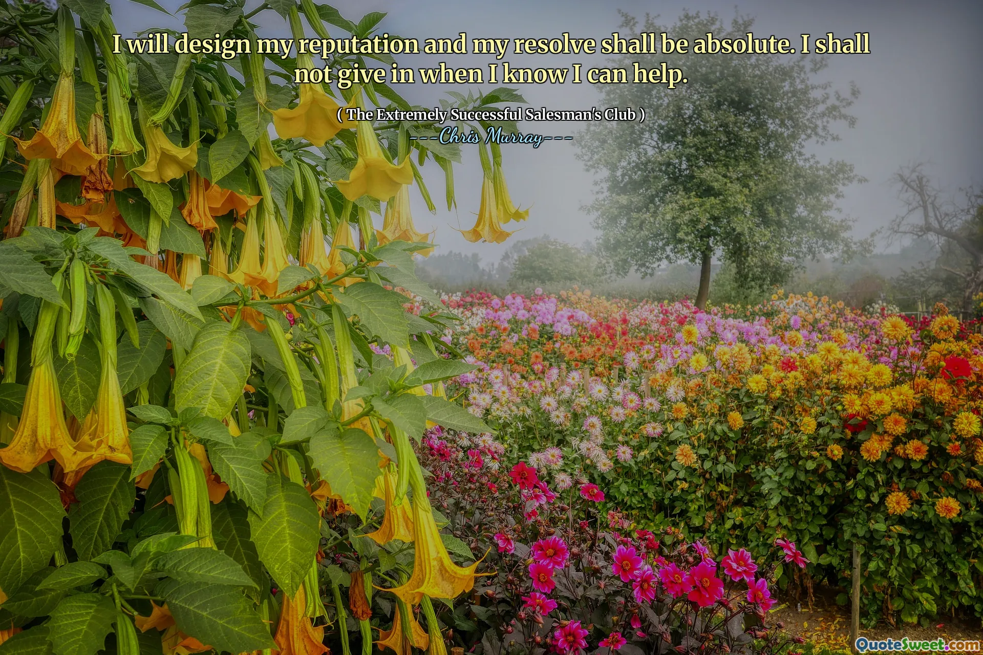 Diseñaré mi reputación y mi resolución será absoluta. No me rendiré cuando sé que puedo ayudar.