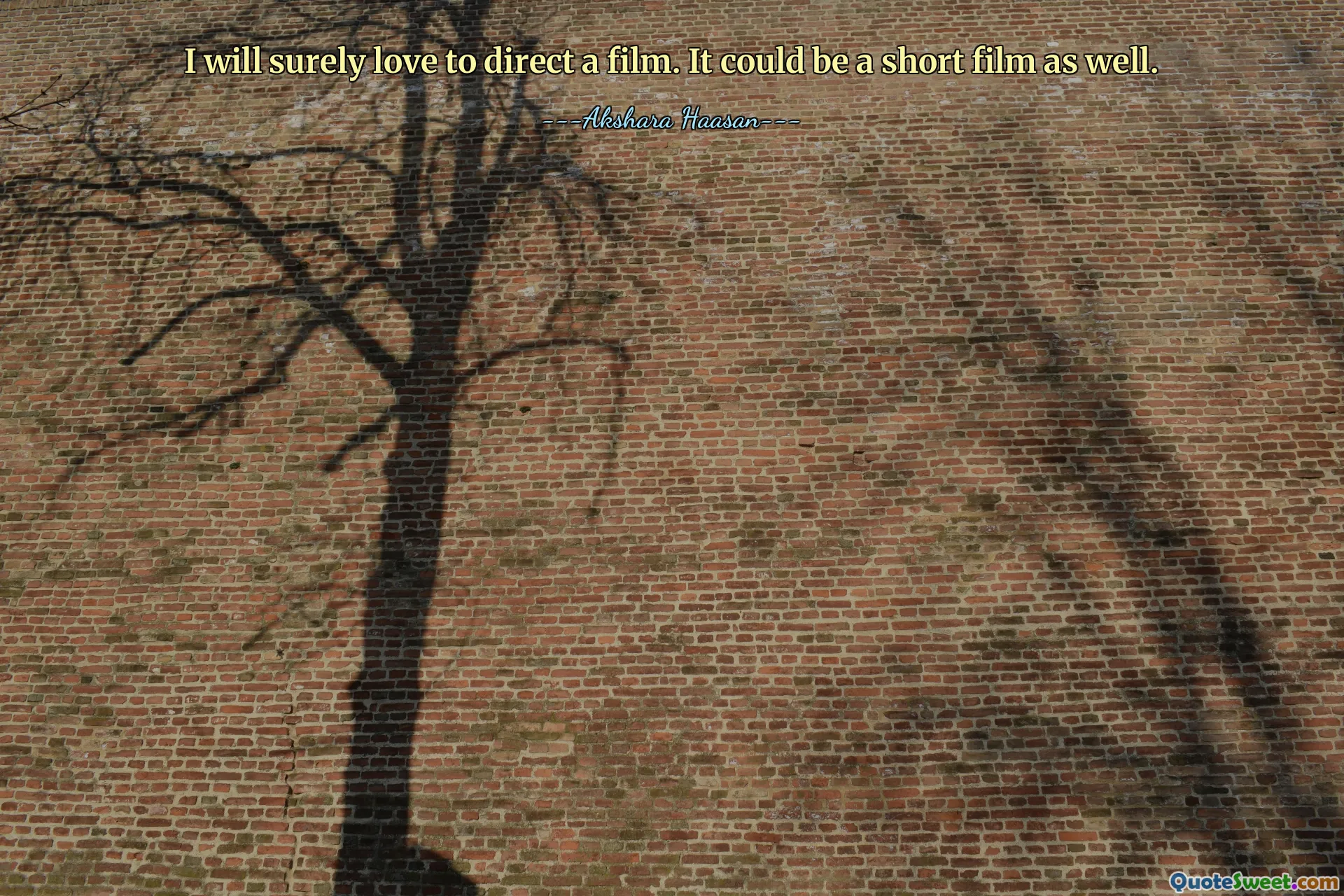 I will surely love to direct a film. It could be a short film as well.