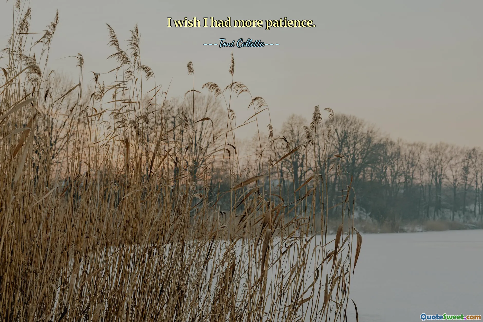 I wish I had more patience.