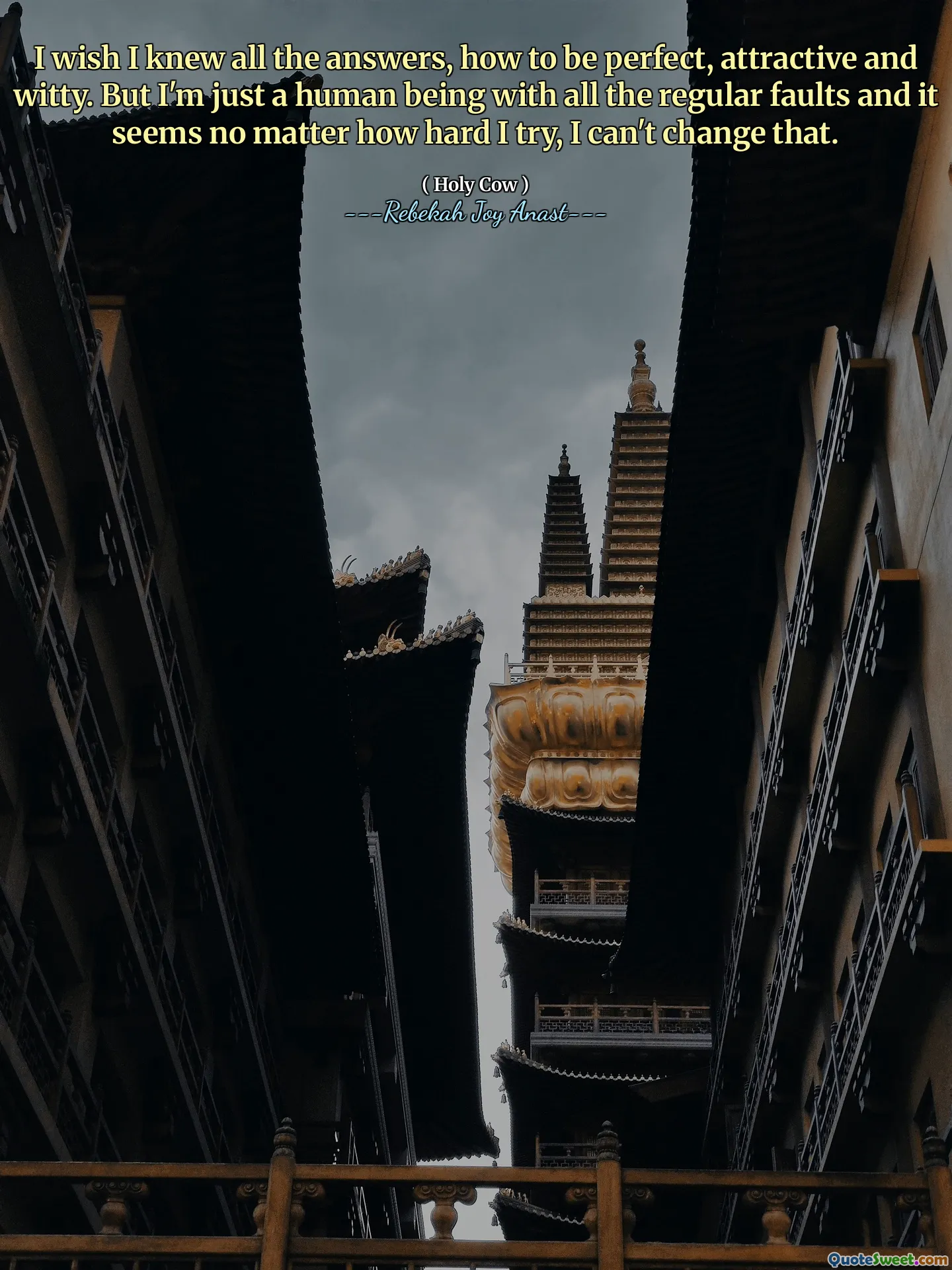 I wish I knew all the answers, how to be perfect, attractive and witty. But I'm just a human being with all the regular faults and it seems no matter how hard I try, I can't change that.