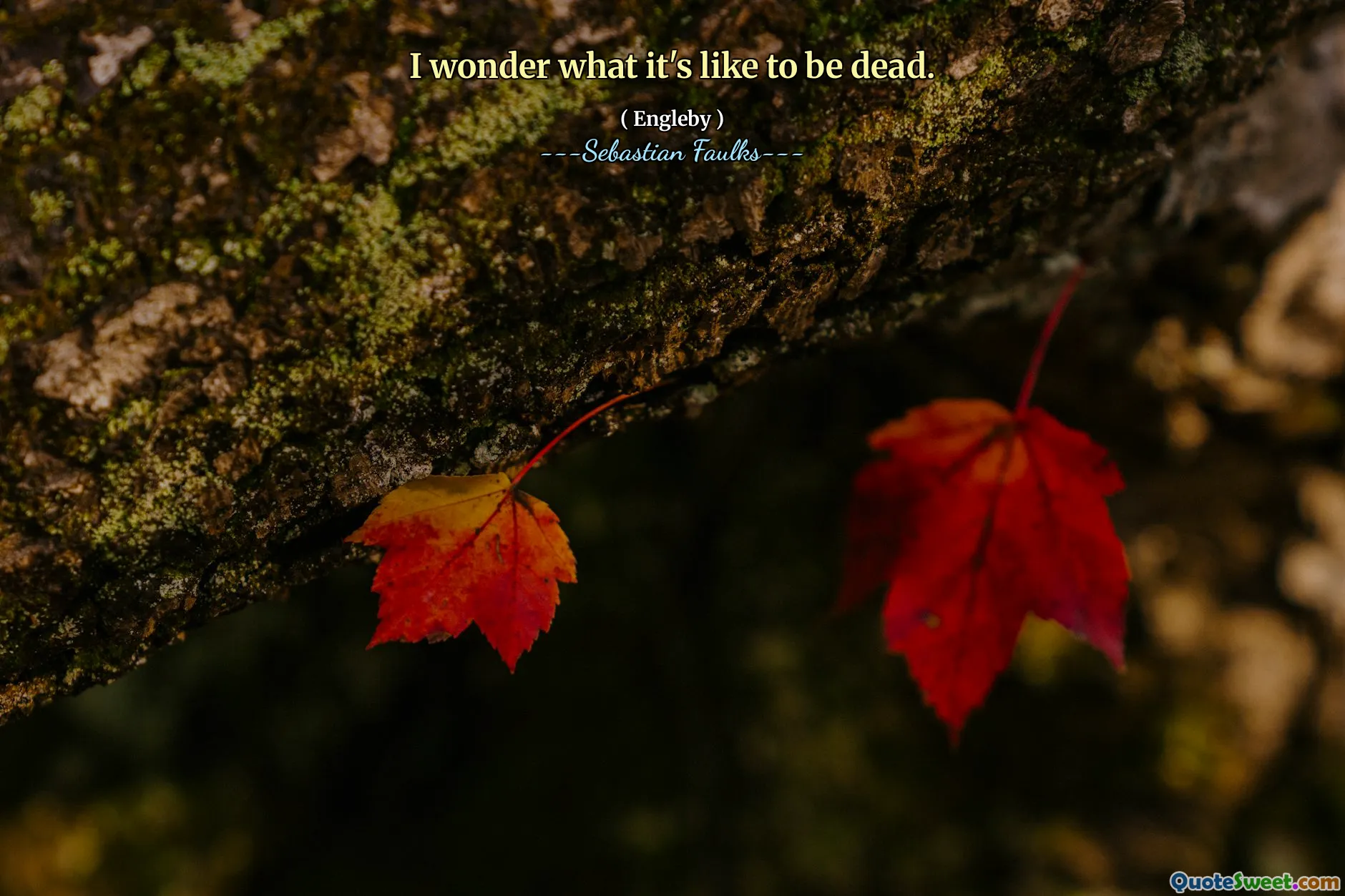 Ich frage mich, wie es ist, tot zu sein.