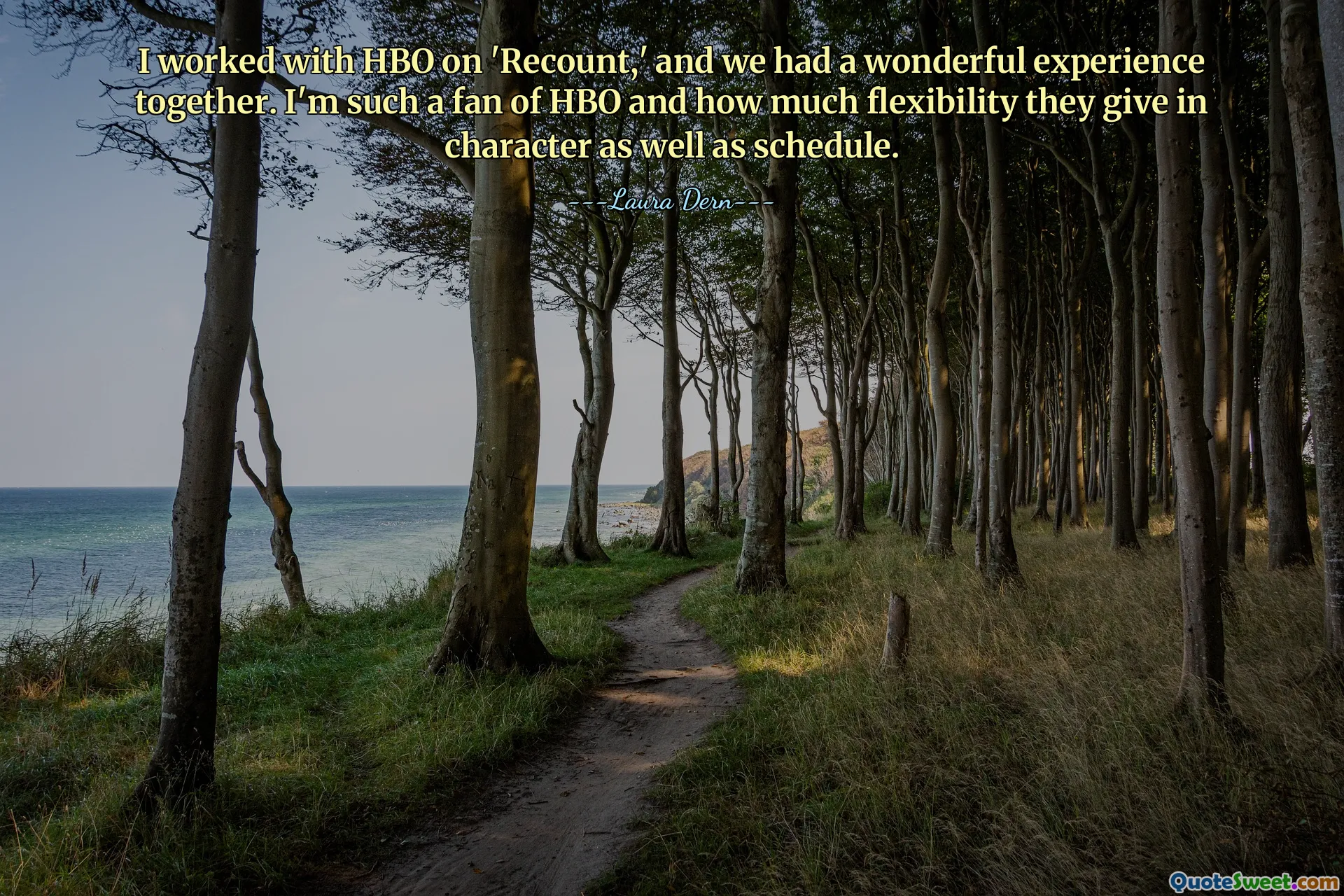 I worked with HBO on 'Recount,' and we had a wonderful experience together. I'm such a fan of HBO and how much flexibility they give in character as well as schedule.