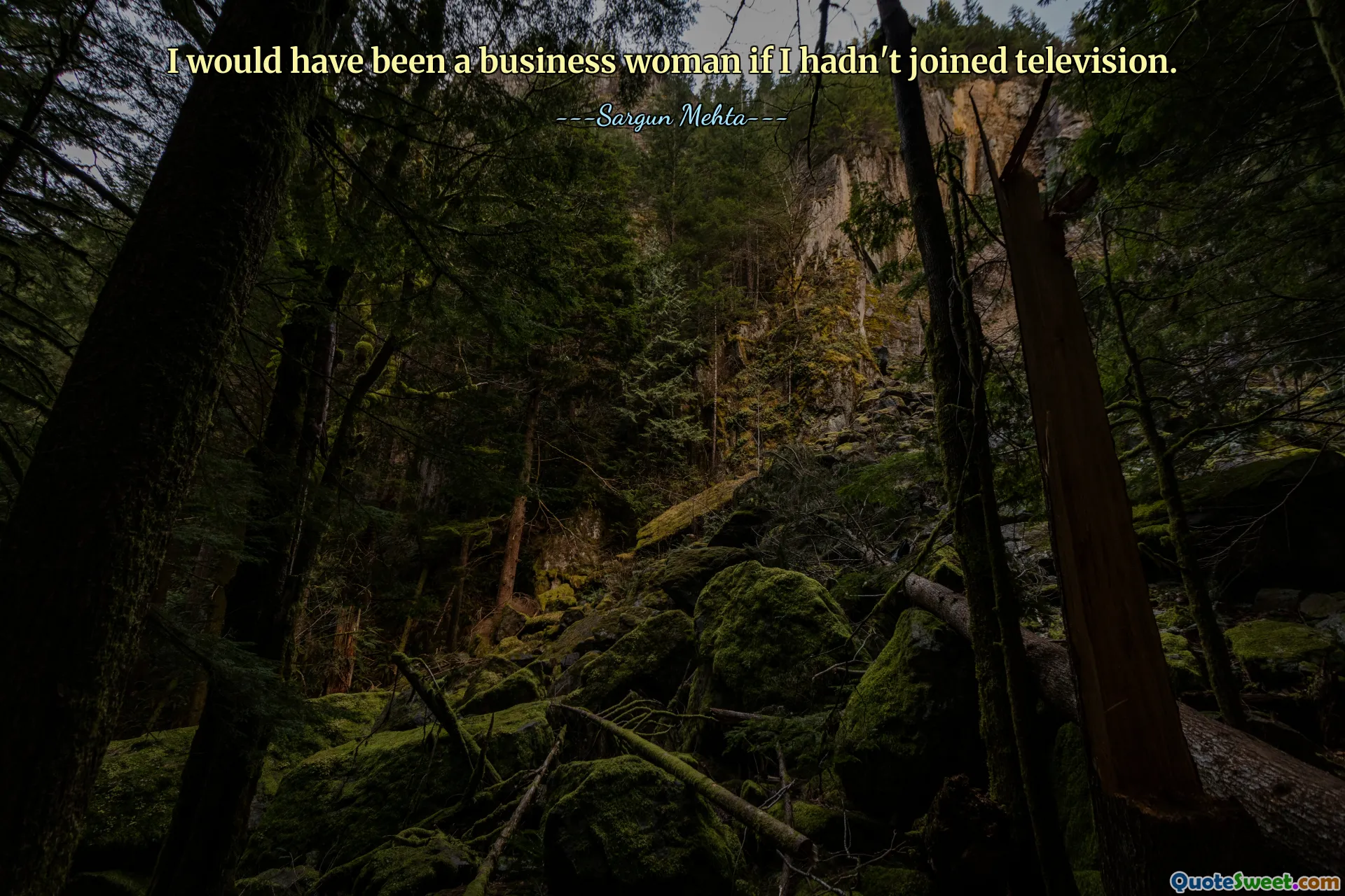 I would have been a business woman if I hadn't joined television.