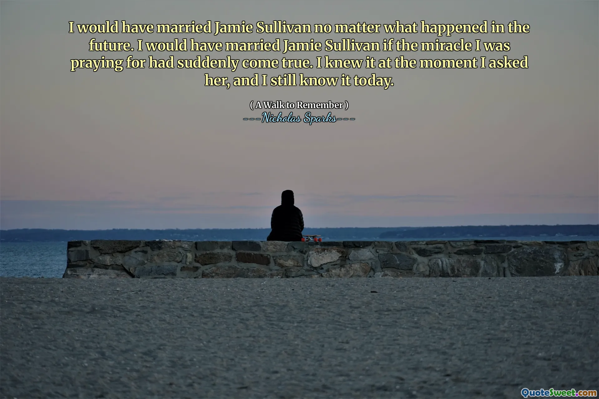 I would have married Jamie Sullivan no matter what happened in the future. I would have married Jamie Sullivan if the miracle I was praying for had suddenly come true. I knew it at the moment I asked her, and I still know it today.