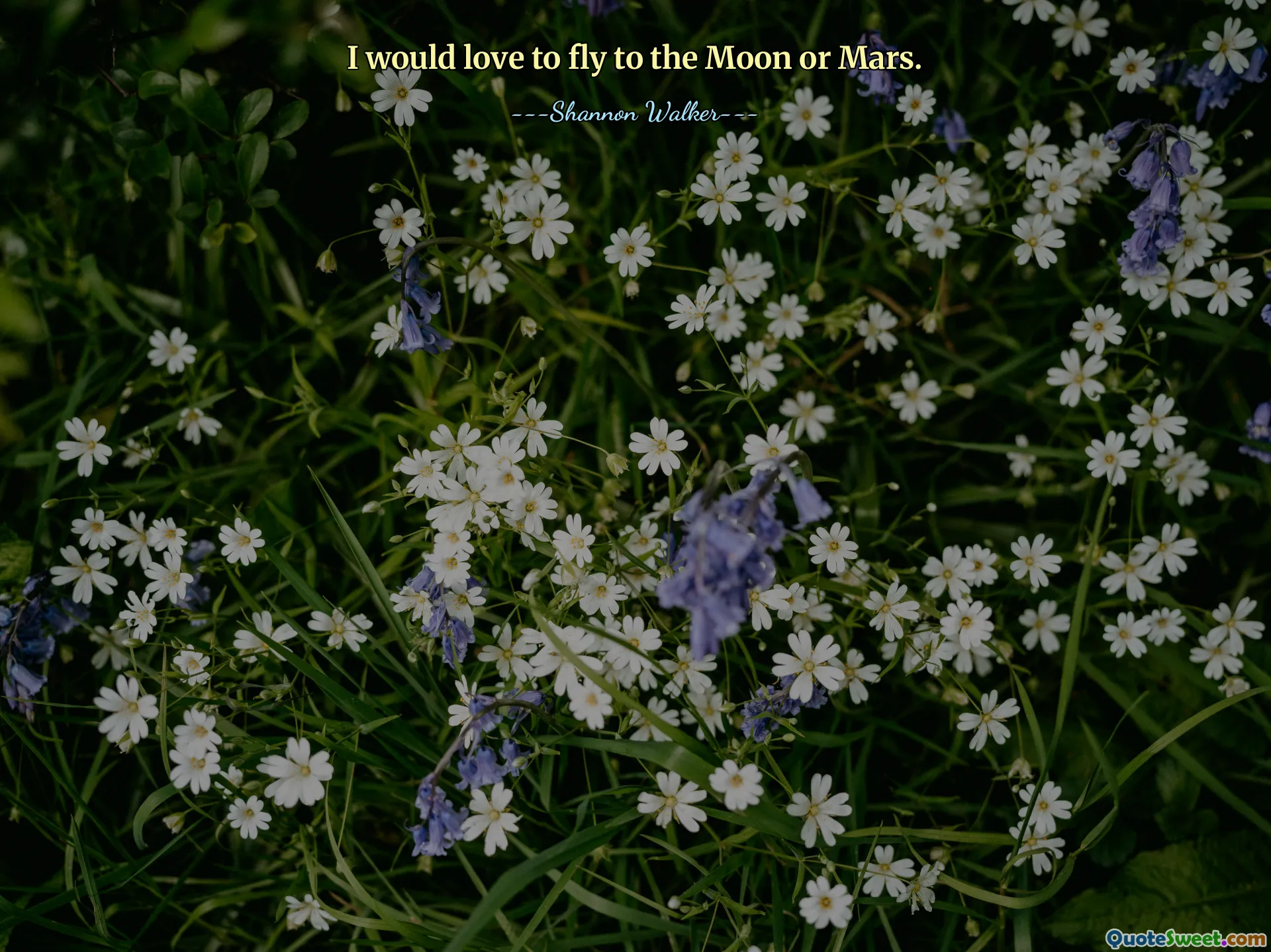 I would love to fly to the Moon or Mars.