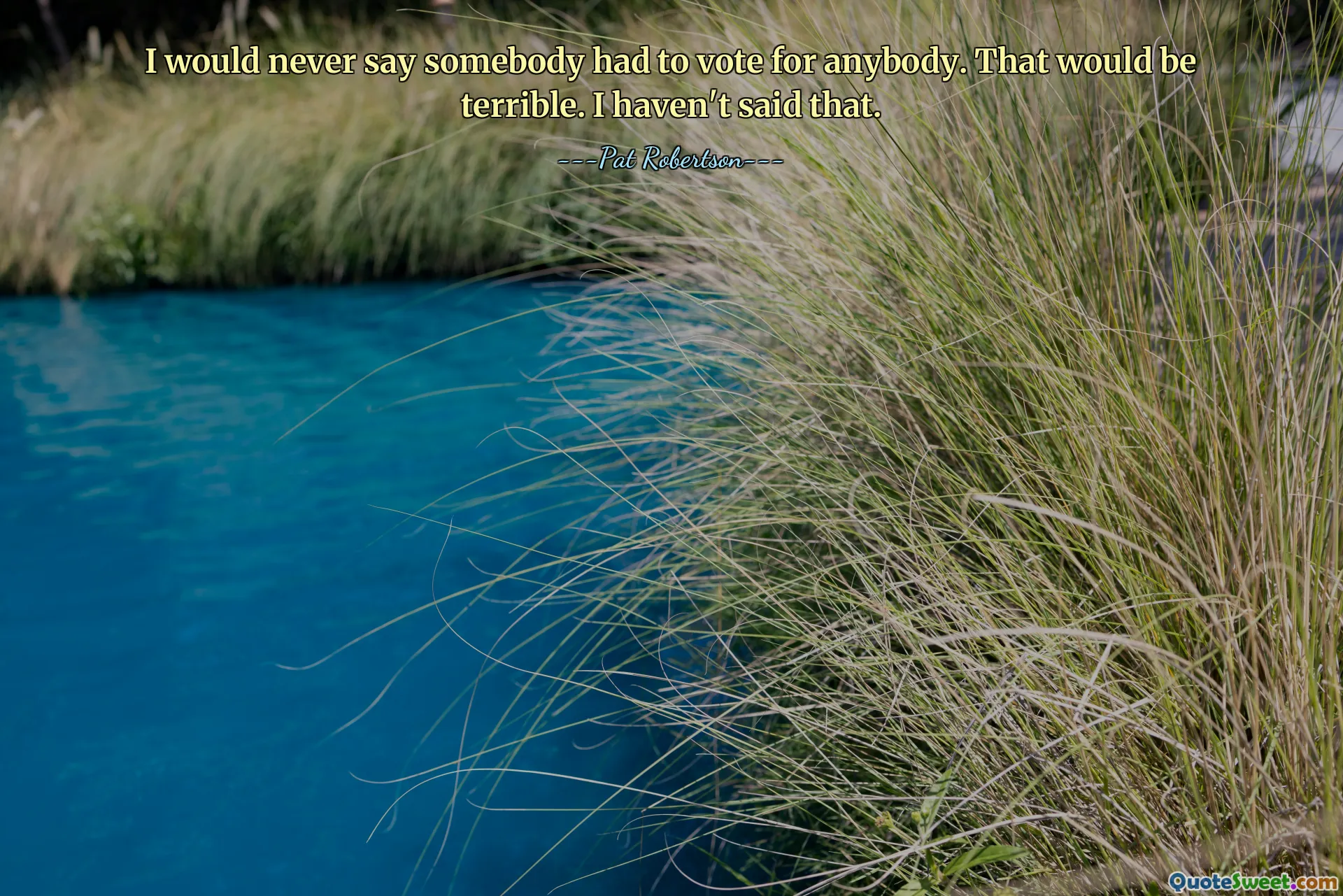 I would never say somebody had to vote for anybody. That would be terrible. I haven't said that.