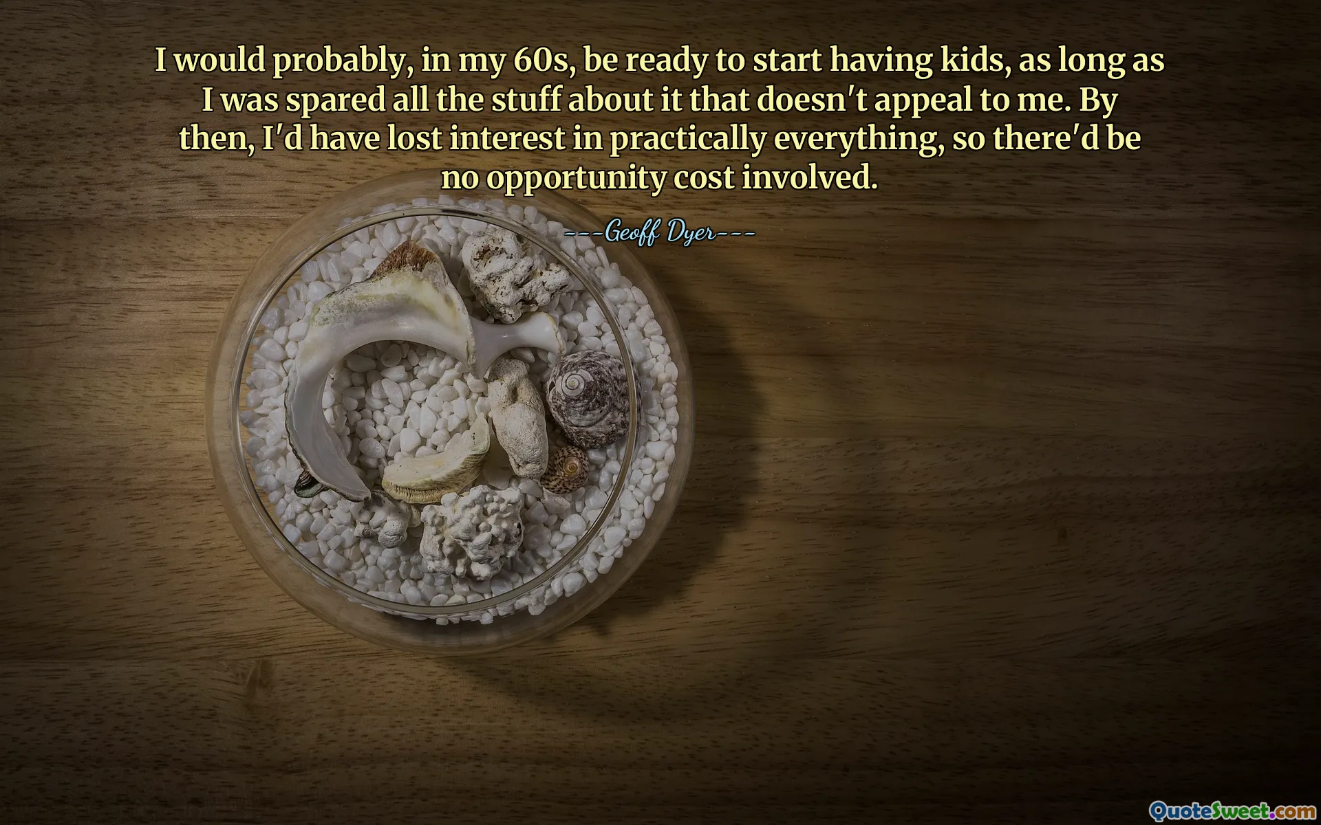 I would probably, in my 60s, be ready to start having kids, as long as I was spared all the stuff about it that doesn't appeal to me. By then, I'd have lost interest in practically everything, so there'd be no opportunity cost involved.