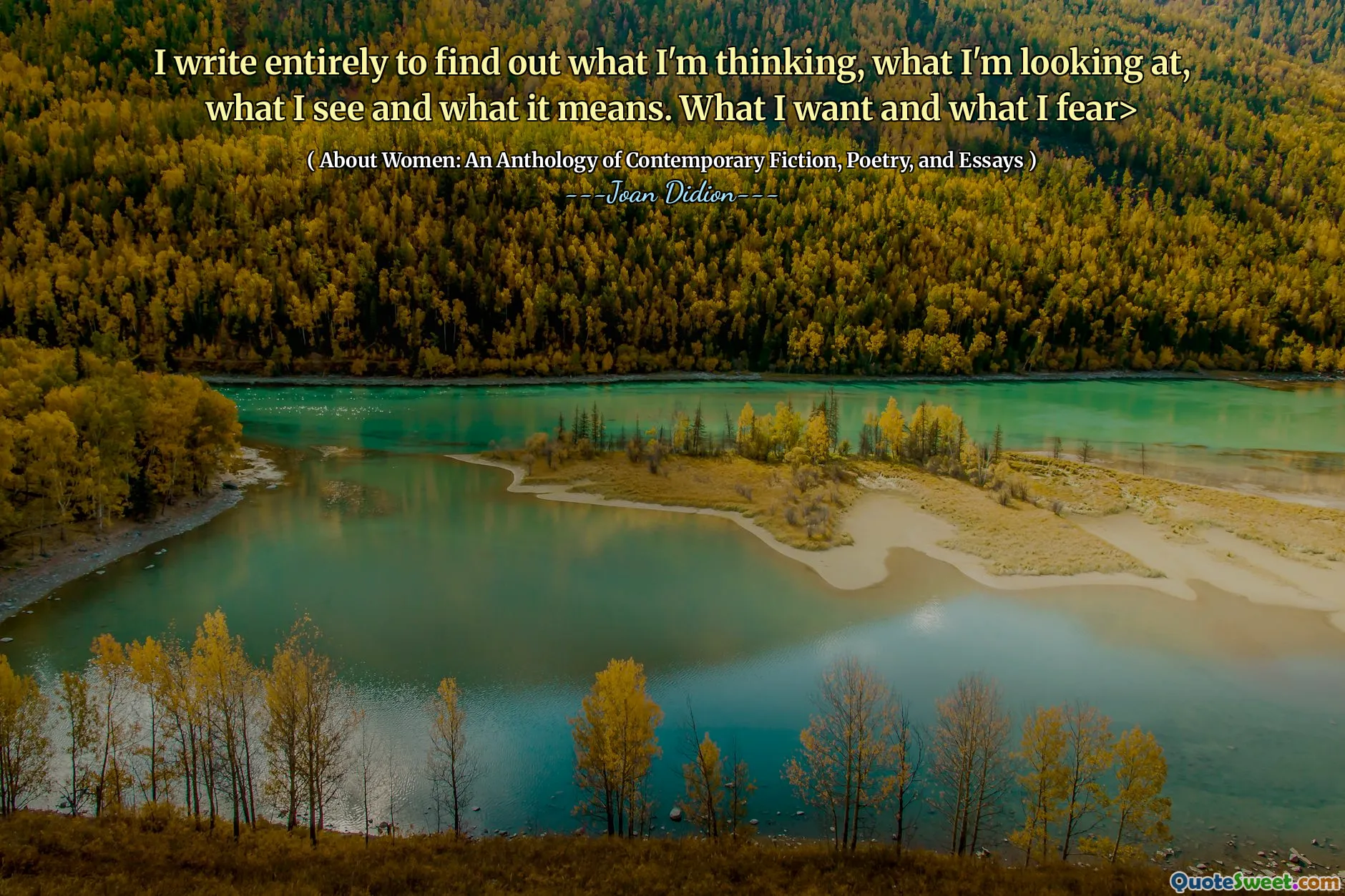 Jag skriver helt för att ta reda på vad jag tänker, vad jag tittar på, vad jag ser och vad det betyder. Vad jag vill och vad jag fruktar>