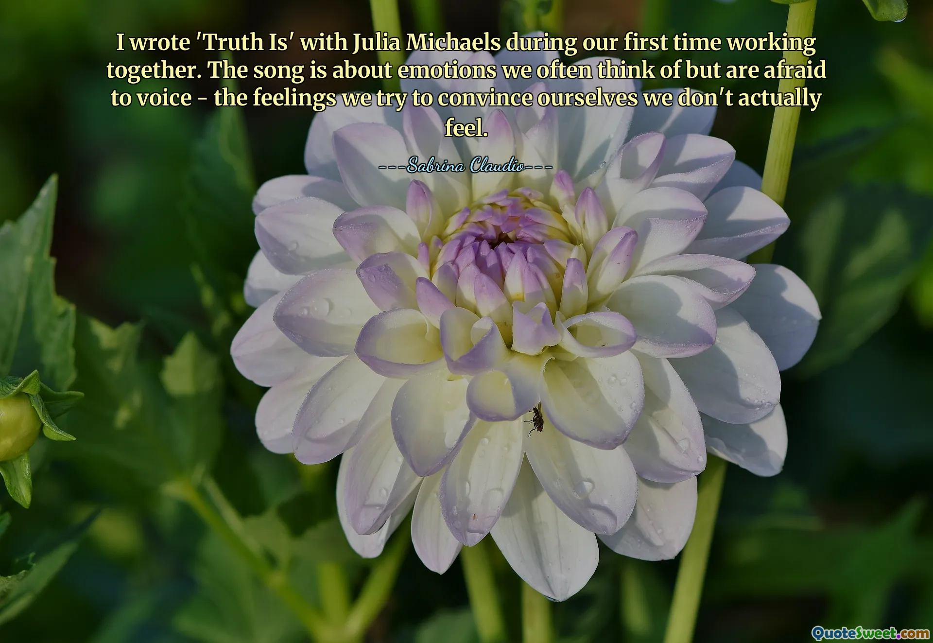 I wrote 'Truth Is' with Julia Michaels during our first time working together. The song is about emotions we often think of but are afraid to voice - the feelings we try to convince ourselves we don't actually feel.