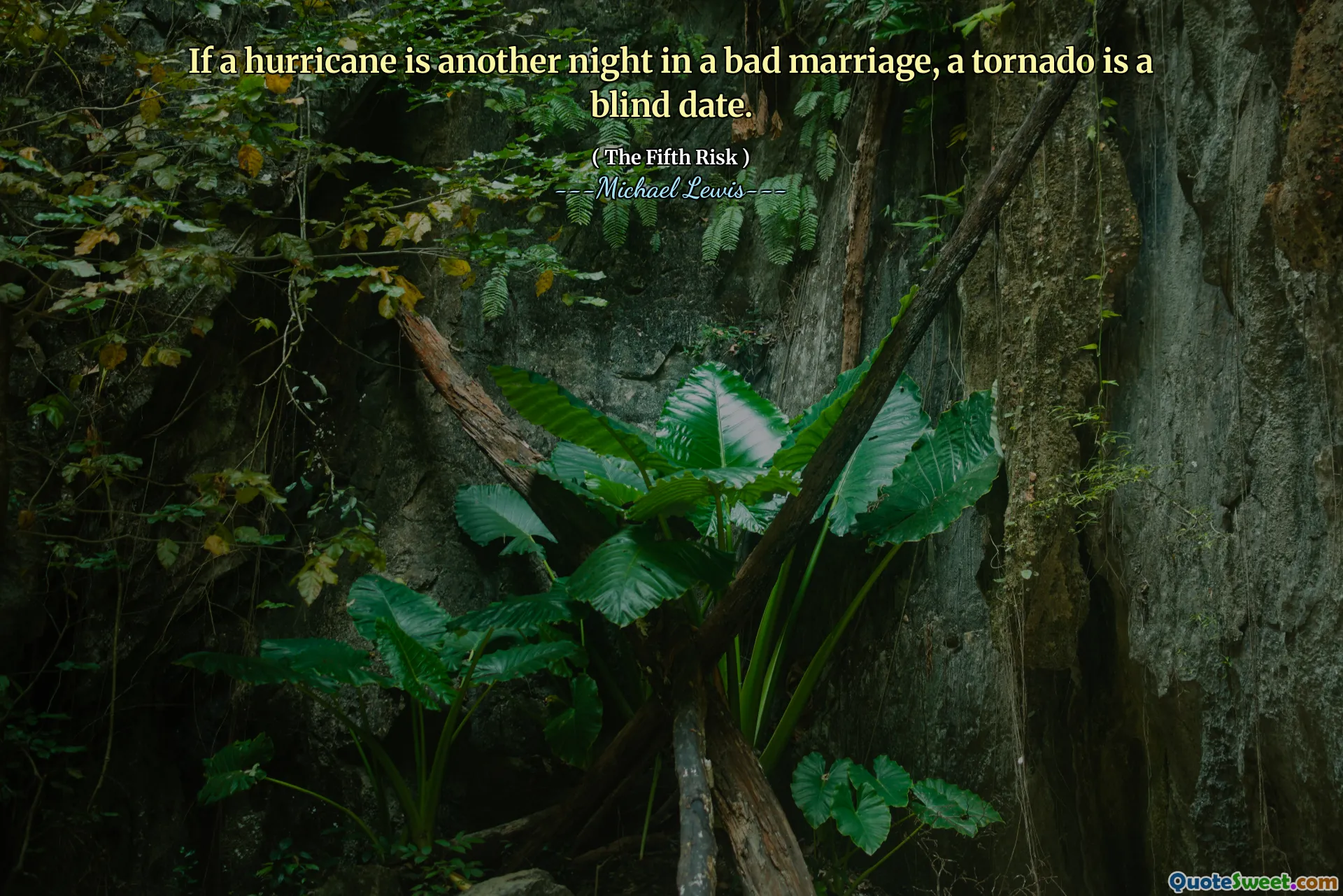 Jika badai adalah malam yang lain dalam pernikahan yang buruk, tornado adalah kencan buta.