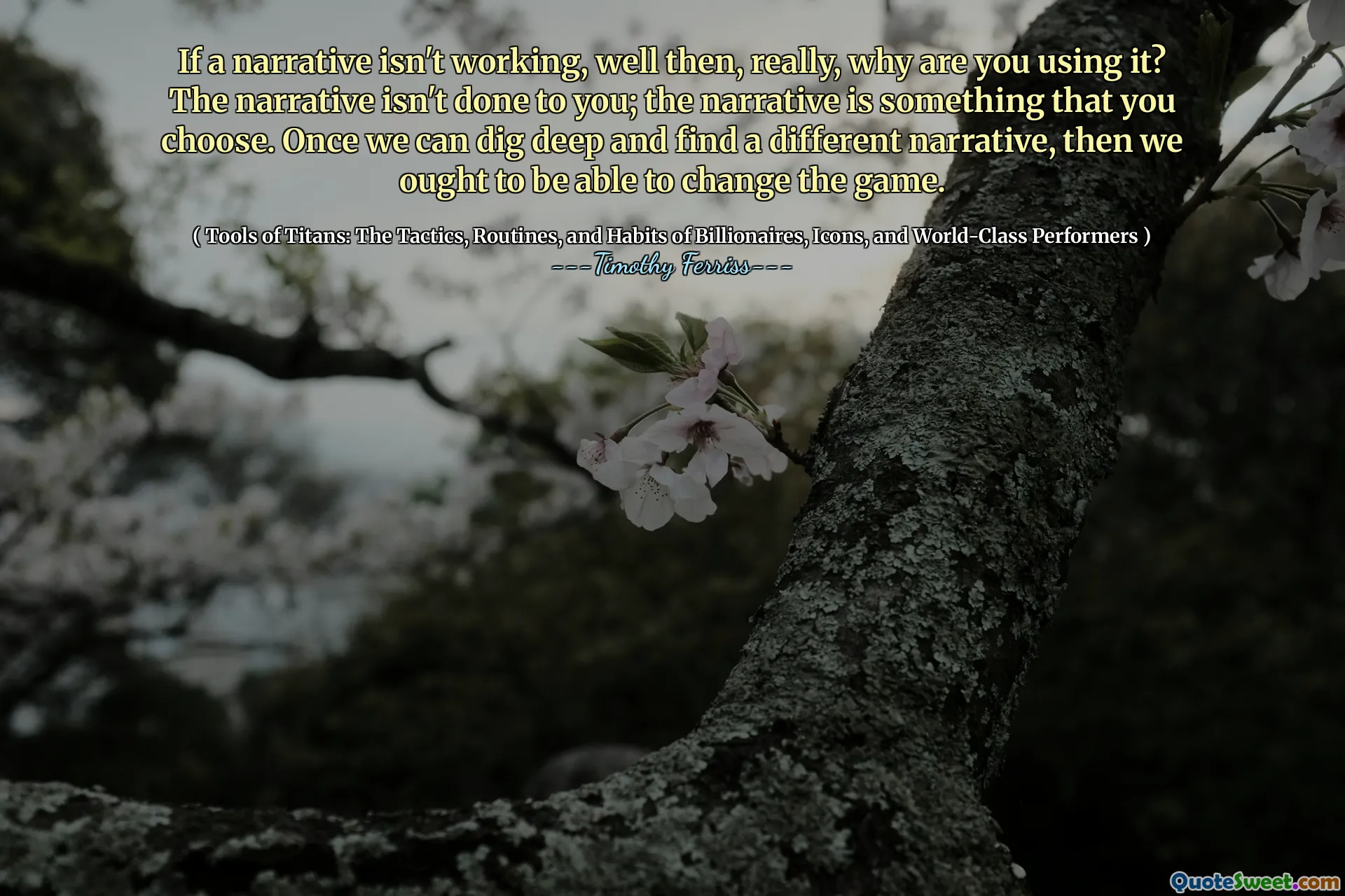 If a narrative isn't working, well then, really, why are you using it? The narrative isn't done to you; the narrative is something that you choose. Once we can dig deep and find a different narrative, then we ought to be able to change the game.