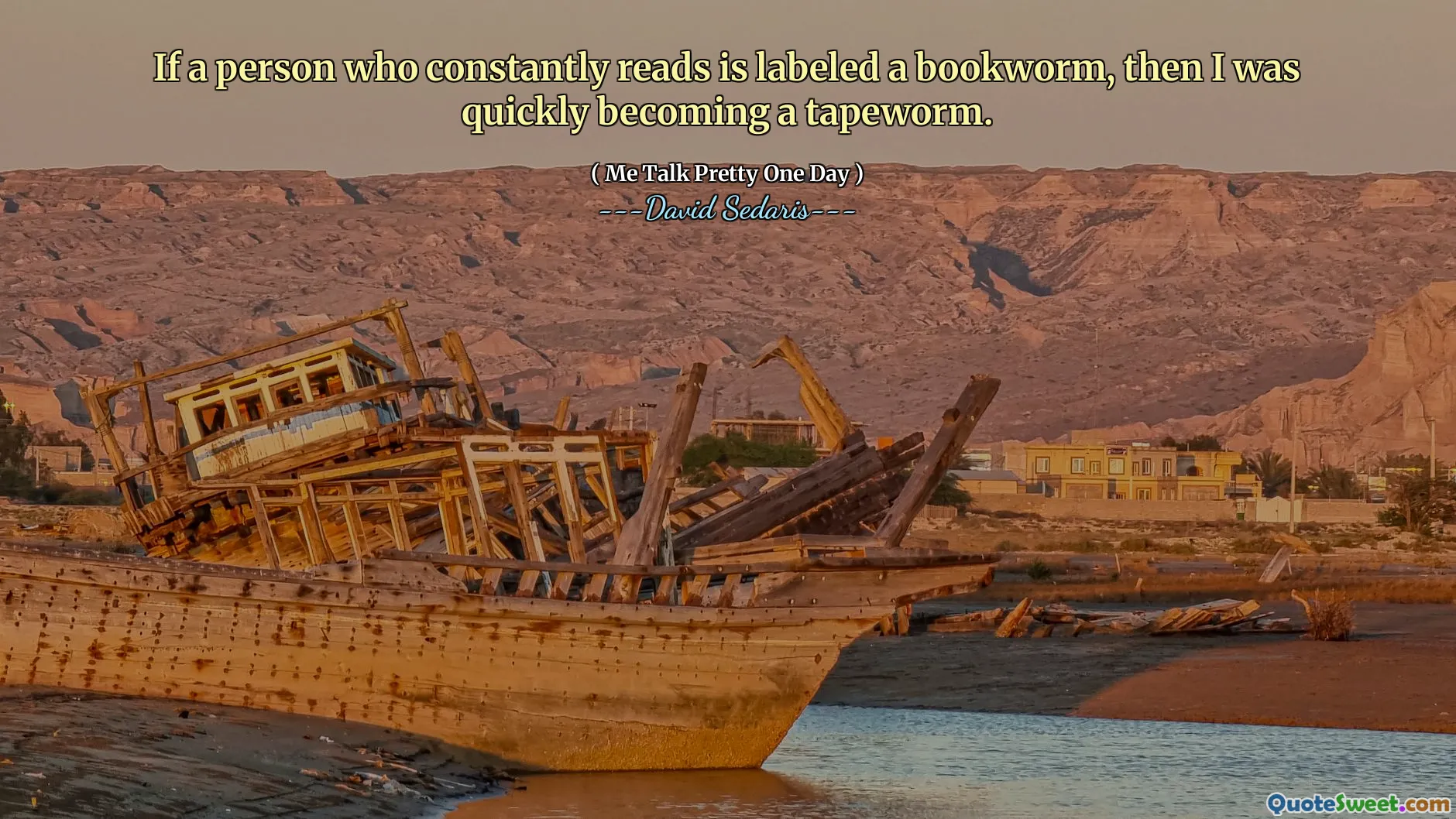 If a person who constantly reads is labeled a bookworm, then I was quickly becoming a tapeworm.