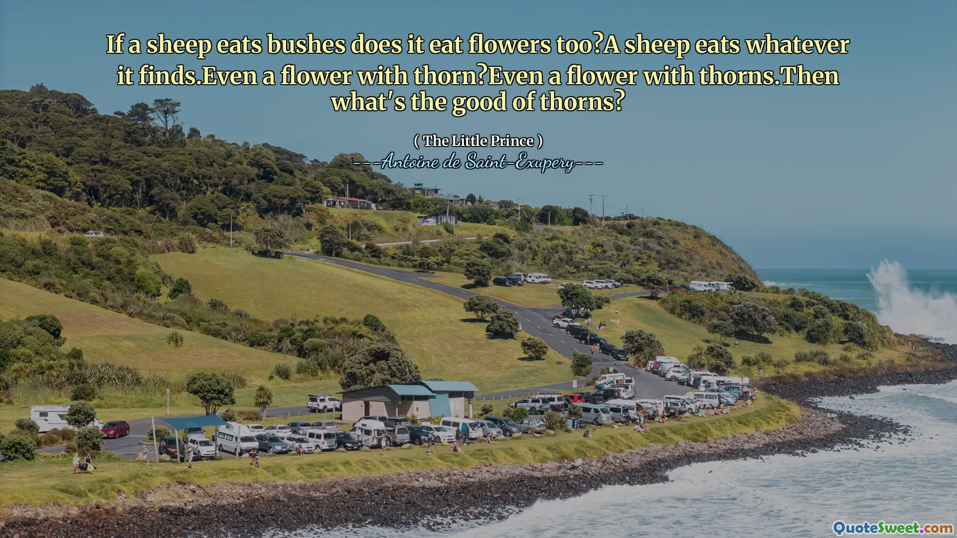 If a sheep eats bushes does it eat flowers too?A sheep eats whatever it finds.Even a flower with thorn?Even a flower with thorns.Then what's the good of thorns?