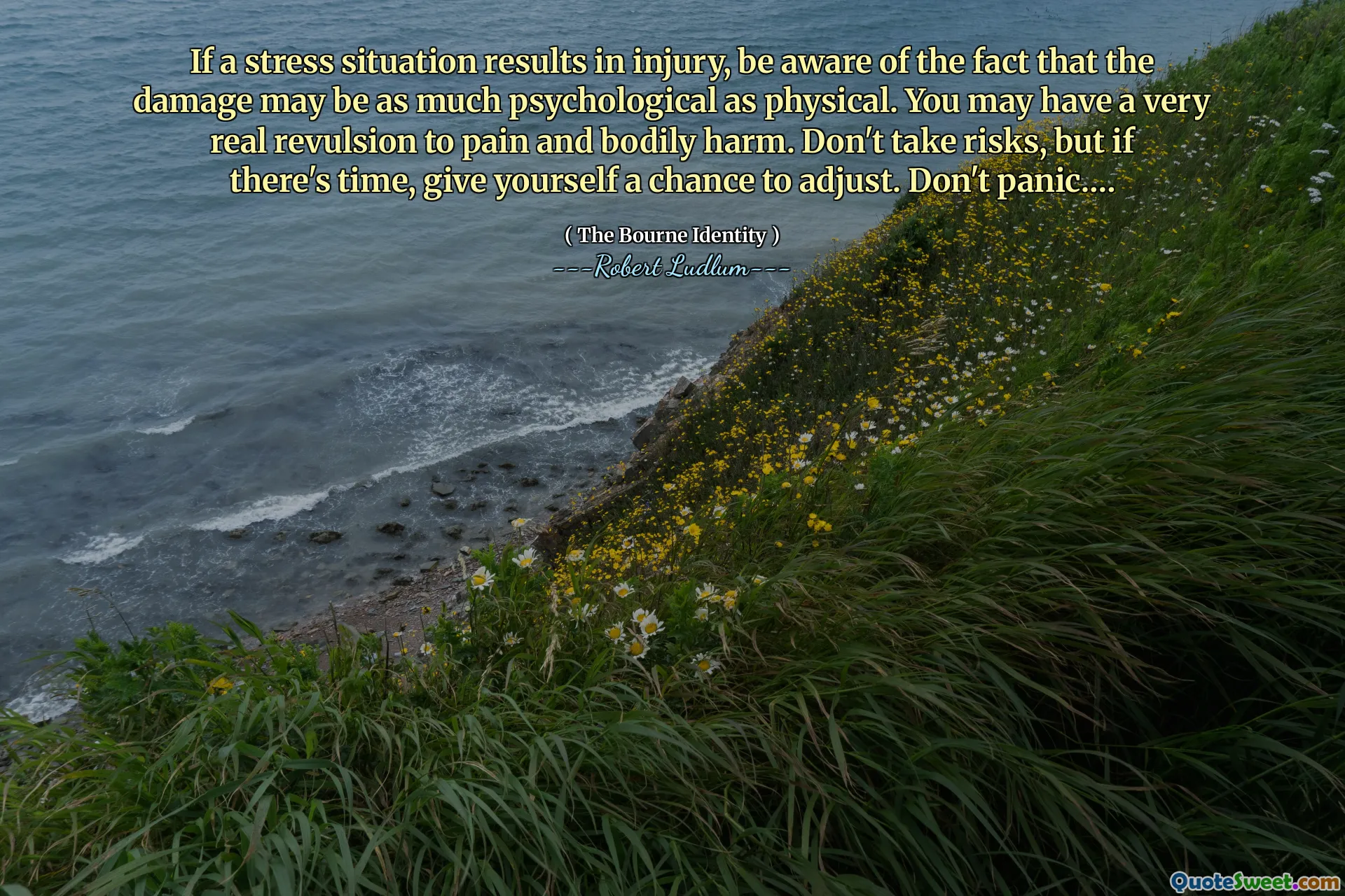 如果压力情况导致受伤，请注意这种伤害可能既是心理上的，也是身体上的。您可能非常厌恶疼痛和身体伤害。不要冒险，但如果有时间，给自己一个调整的机会。不要恐慌。…