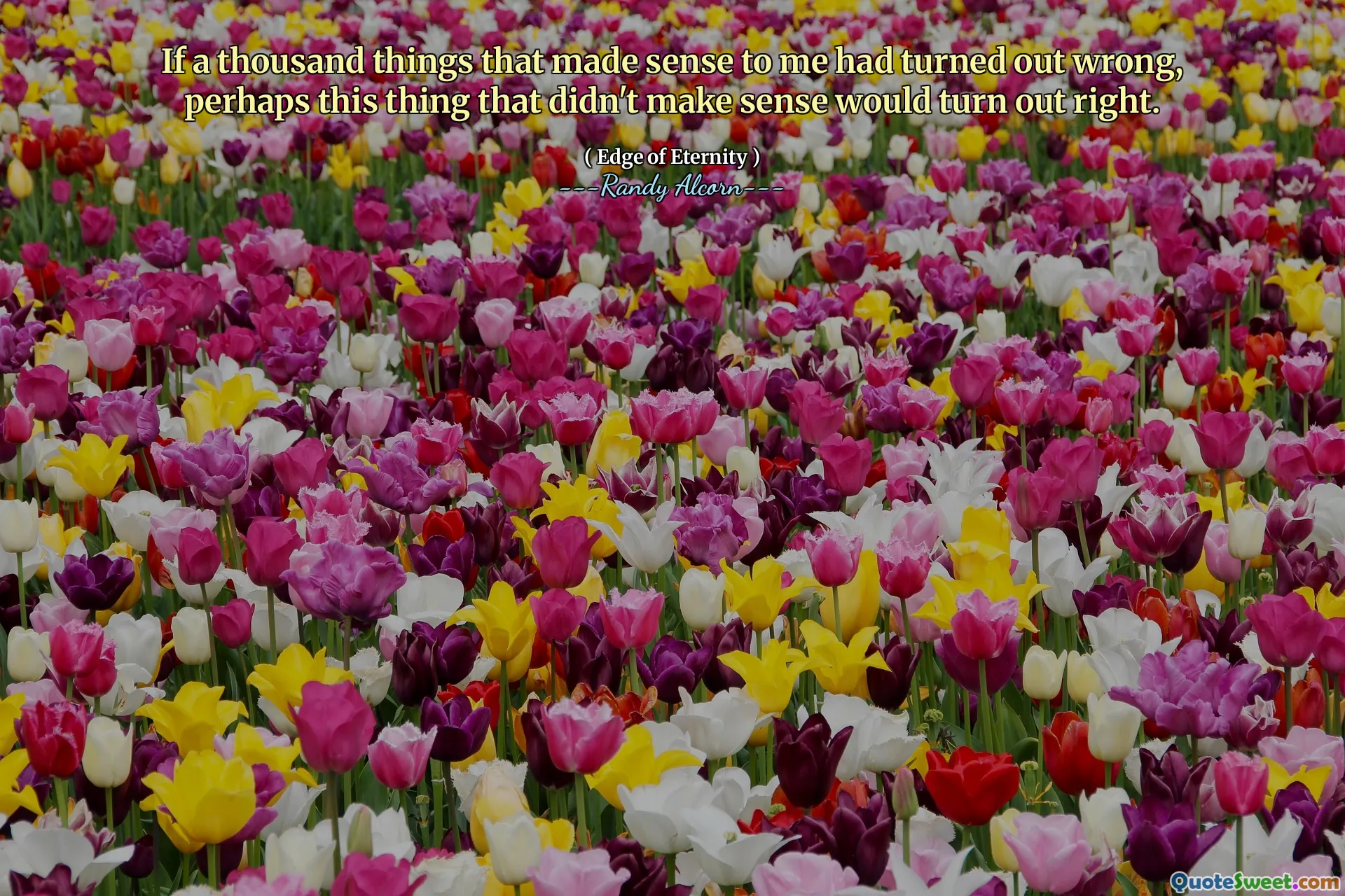 Hvis tusen ting som var fornuftig for meg, hadde vist seg galt, ville kanskje denne tingen som ikke ga mening riktig.