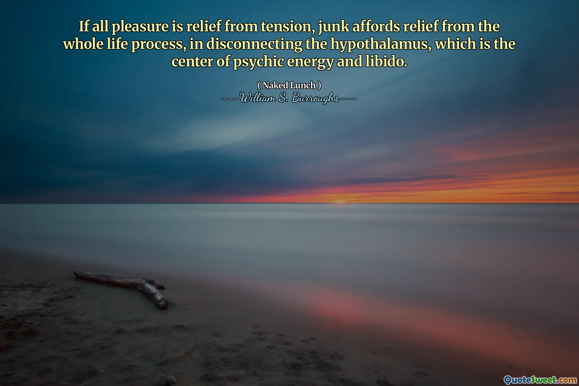 यदि सभी आनंद तनाव से राहत देते हैं, तो जंक हाइपोथैलेमस को डिस्कनेक्ट करने में, पूरे जीवन की प्रक्रिया से राहत देता है, जो मानसिक ऊर्जा और कामेच्छा का केंद्र है।