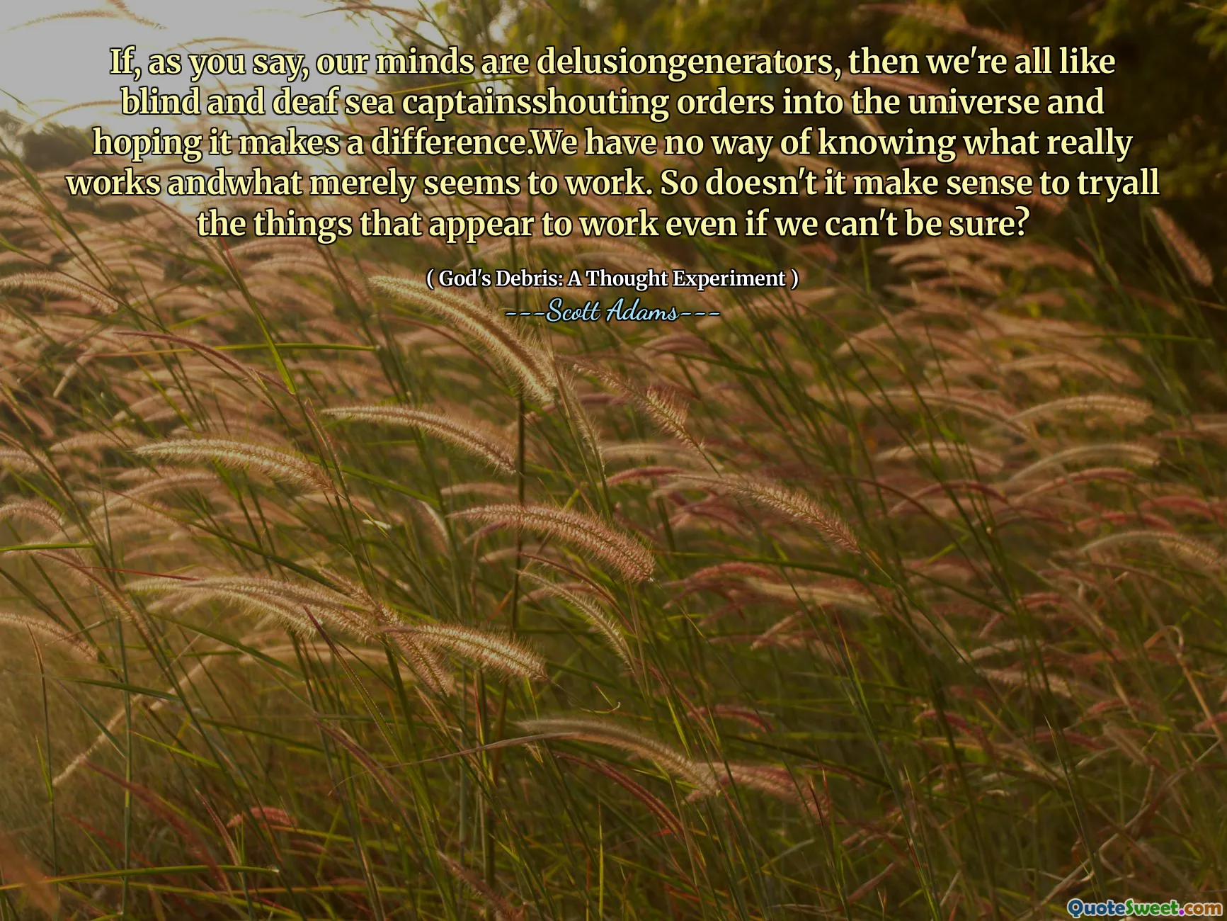 If, as you say, our minds are delusiongenerators, then we're all like blind and deaf sea captainsshouting orders into the universe and hoping it makes a difference.We have no way of knowing what really works andwhat merely seems to work. So doesn't it make sense to tryall the things that appear to work even if we can't be sure?