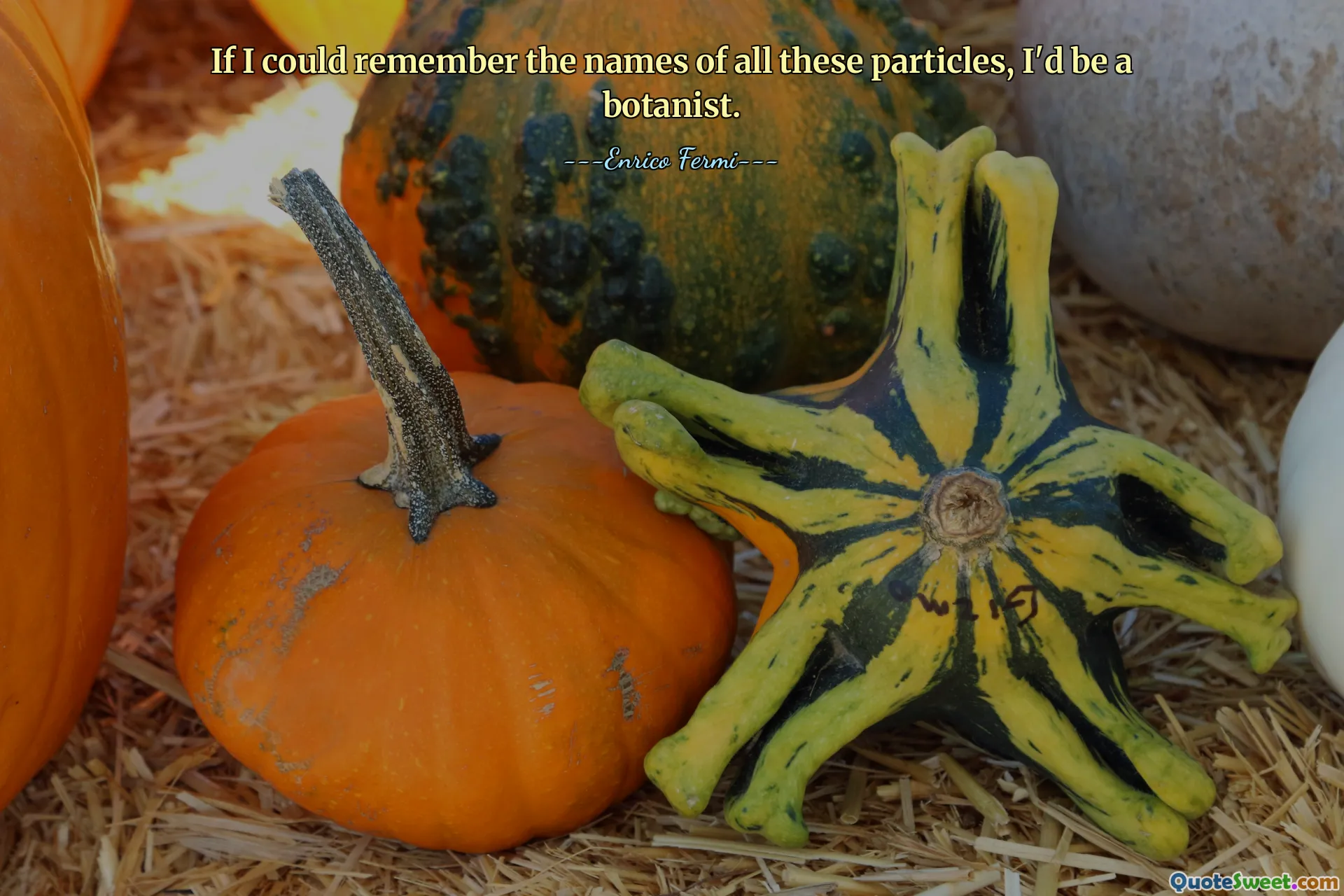 If I could remember the names of all these particles, I'd be a botanist.